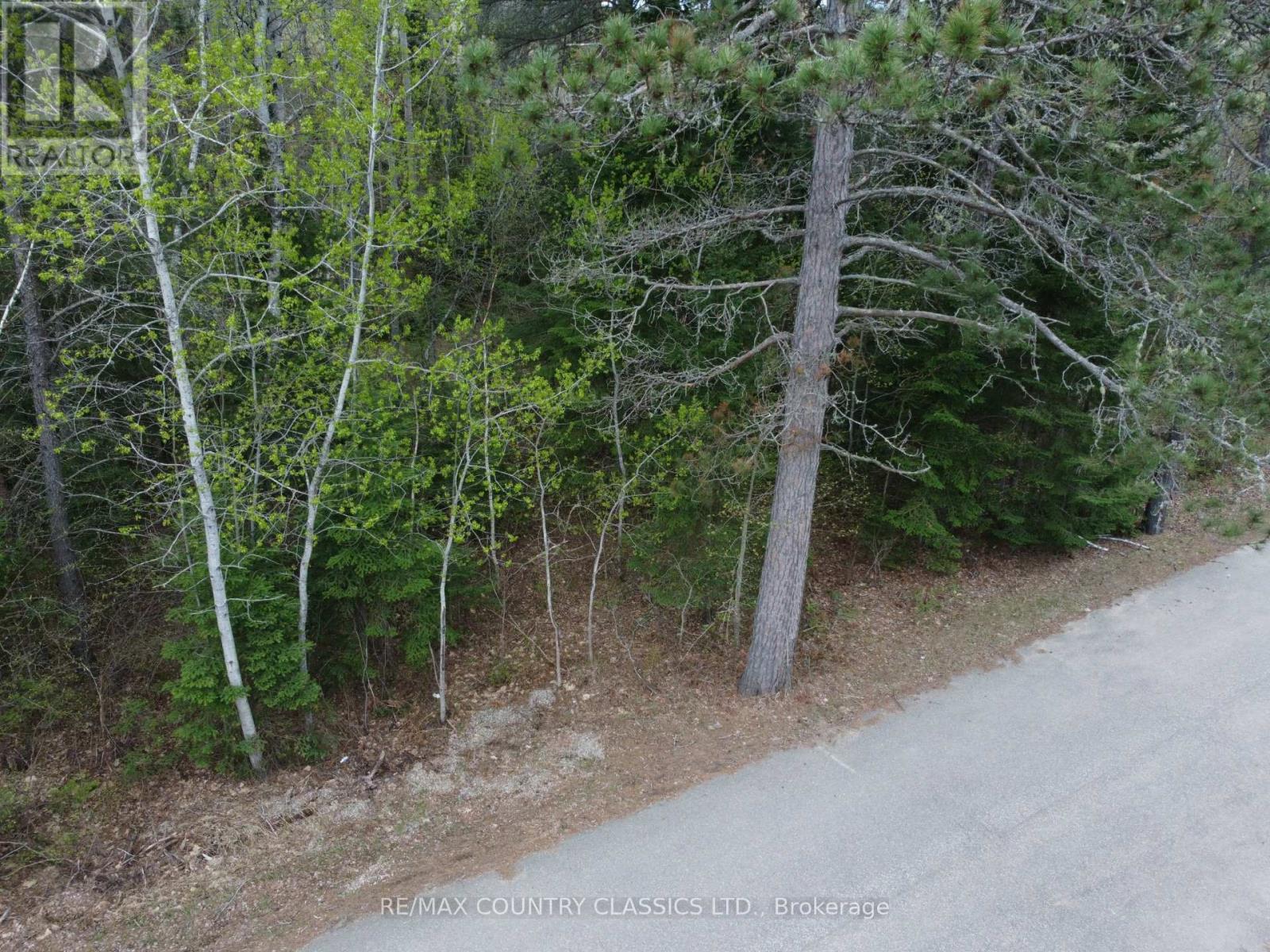 Ptlt 177/8 Murray Park Street, Madawaska Valley, Ontario  K0J 1B0 - Photo 2 - X13016360