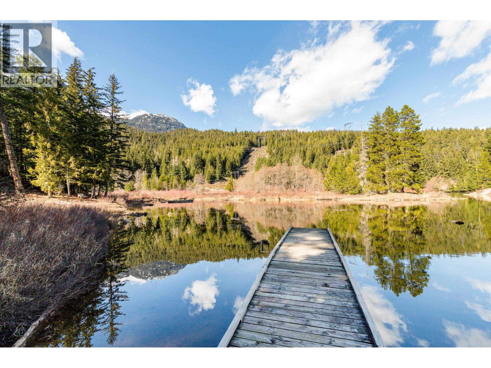 A201 1400 Alta Lake Road, Whistler, British Columbia  V8E 0G9 - Photo 15 - R3109446