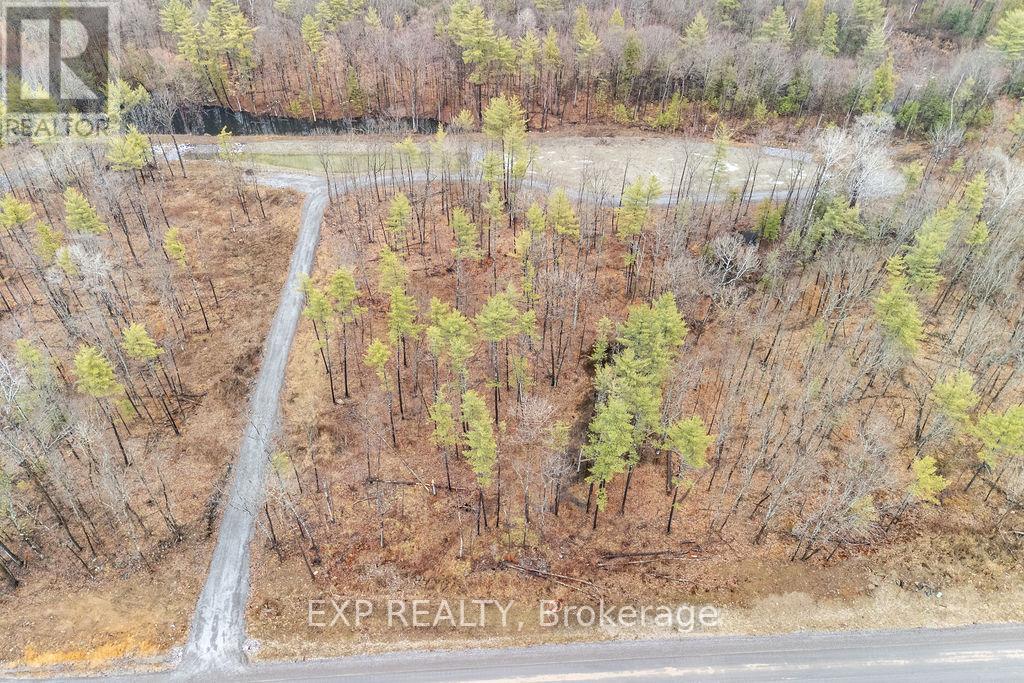 00 Longleaf Way, Greater Madawaska, Ontario  K0J 1H0 - Photo 6 - X13016458