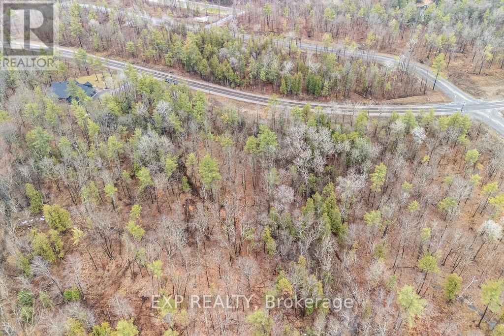 00 Longleaf Way, Greater Madawaska, Ontario  K0J 1H0 - Photo 8 - X13016458