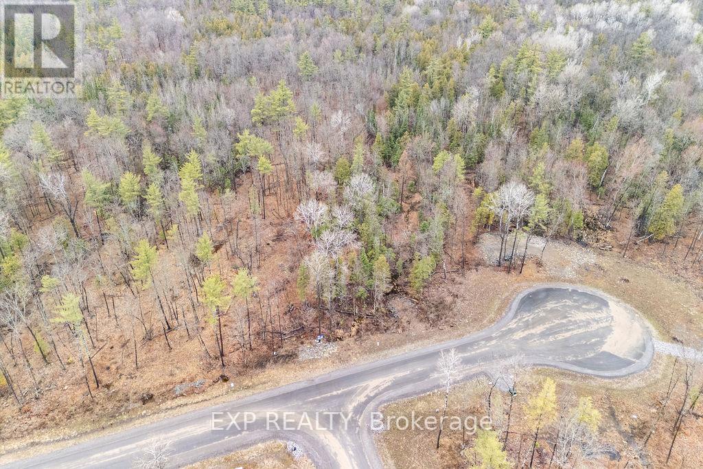 01 Black Spruce Court, Greater Madawaska, Ontario  K0J 1H0 - Photo 4 - X13016524