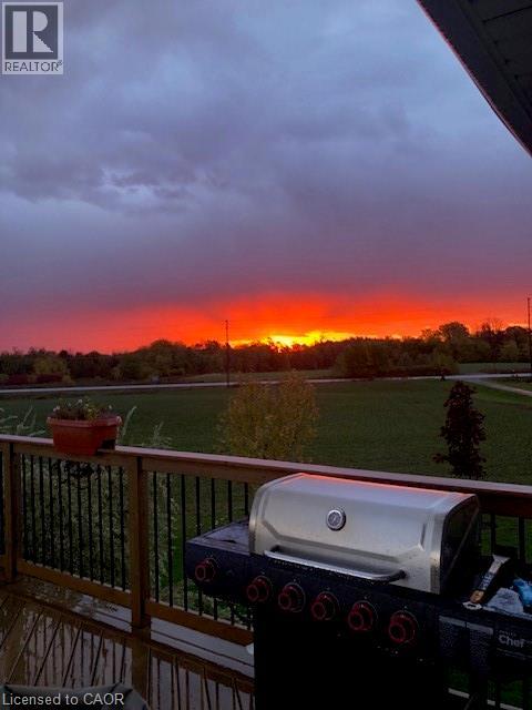 2461 Highway 6, Jarvis, Ontario  N0A 1J0 - Photo 47 - 40822112