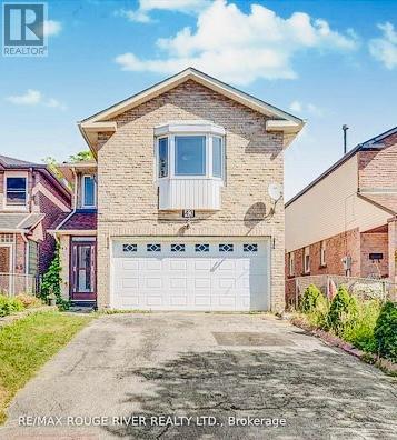 Basement - 43 Blue Lagoon Court, Toronto, Ontario  M1J 3M3 - Photo 2 - E13016510