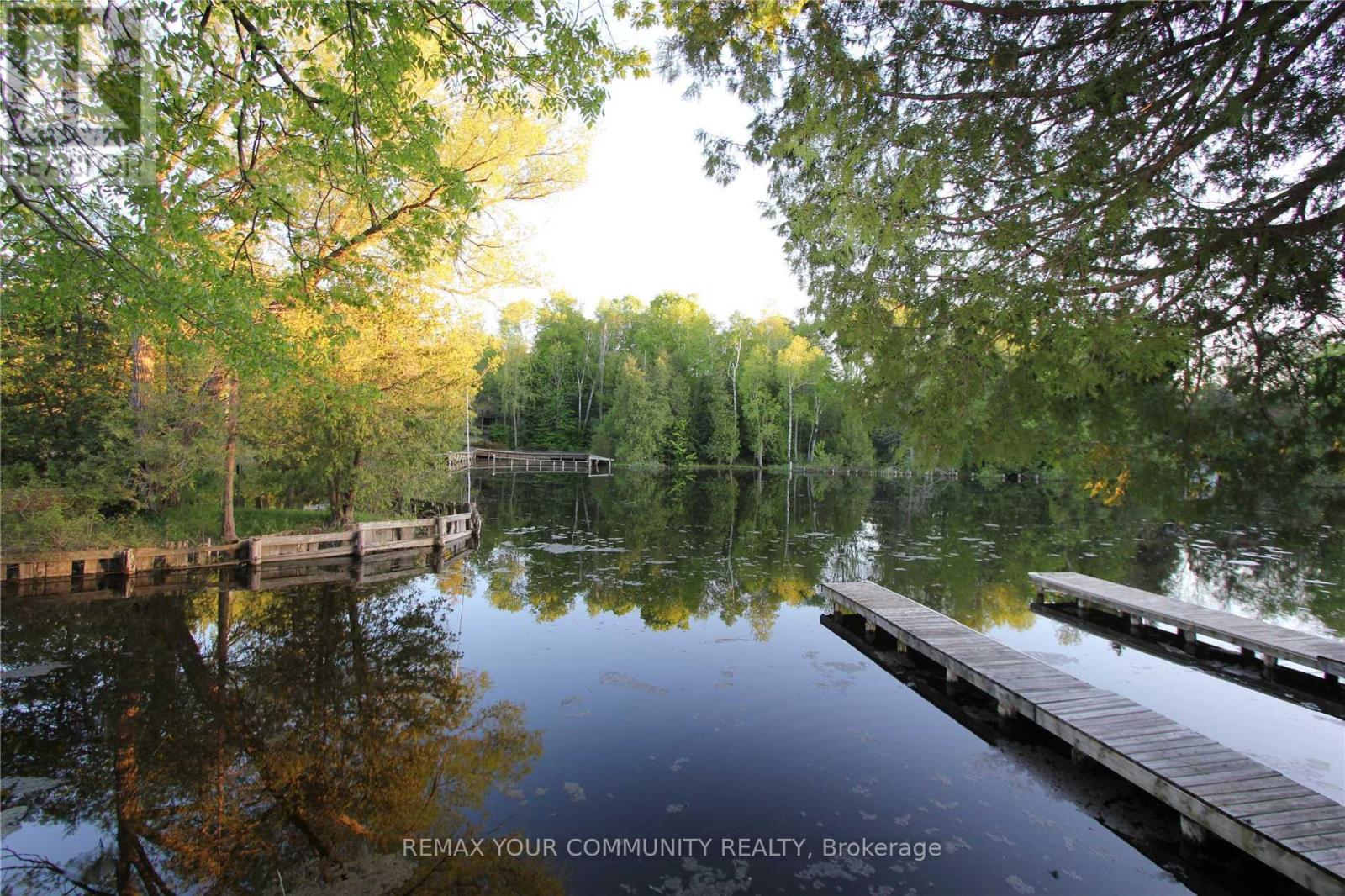 184 Riverbank Drive, Georgina, Ontario  L0E 1N0 - Photo 16 - N13016516