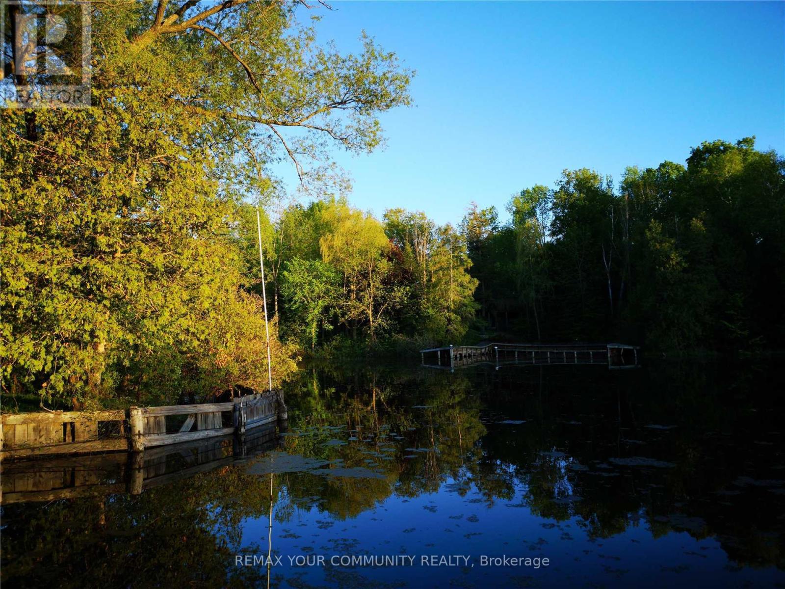 184 Riverbank Drive, Georgina, Ontario  L0E 1N0 - Photo 18 - N13016516