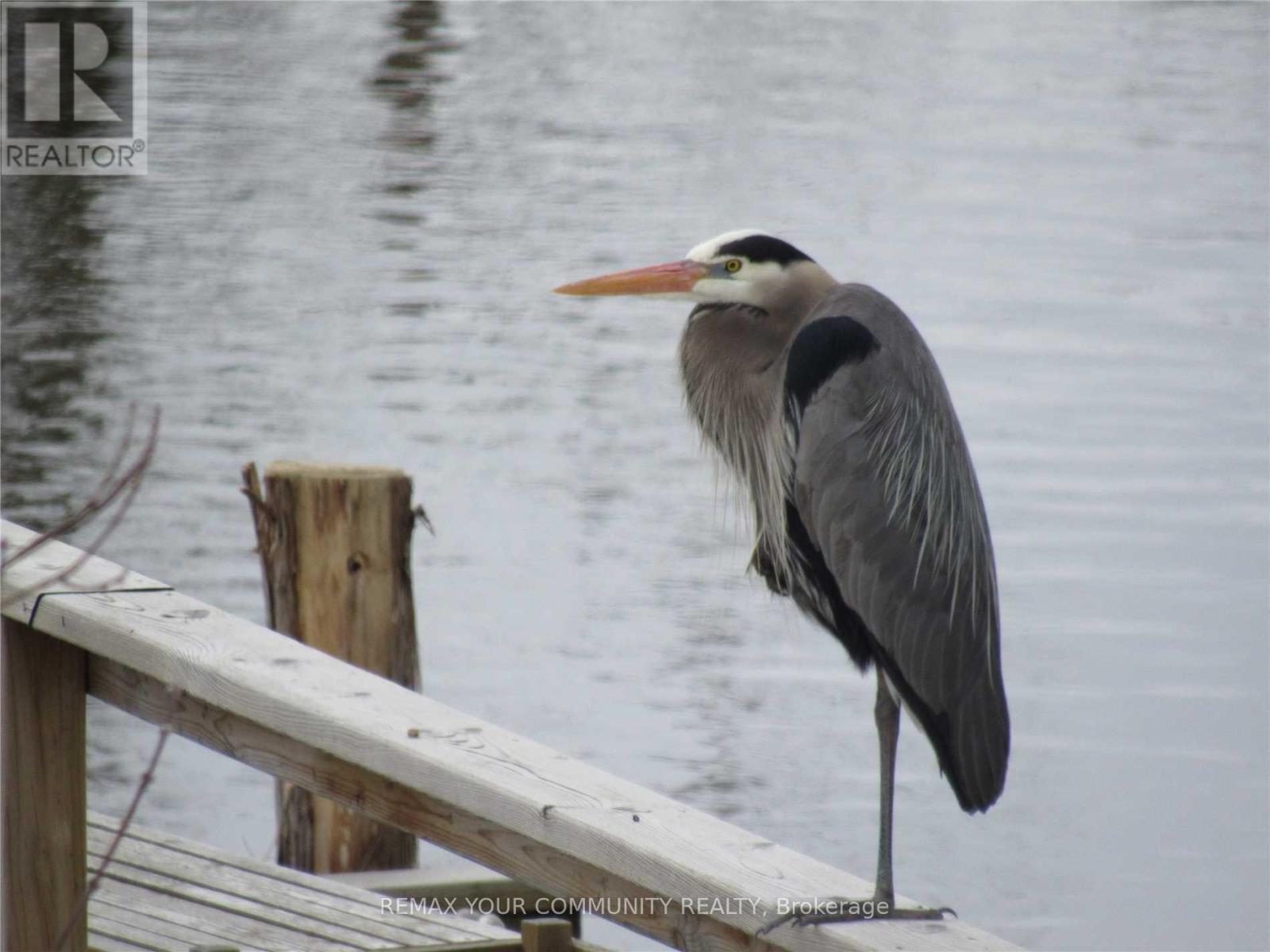 184 Riverbank Drive, Georgina, Ontario  L0E 1N0 - Photo 21 - N13016516