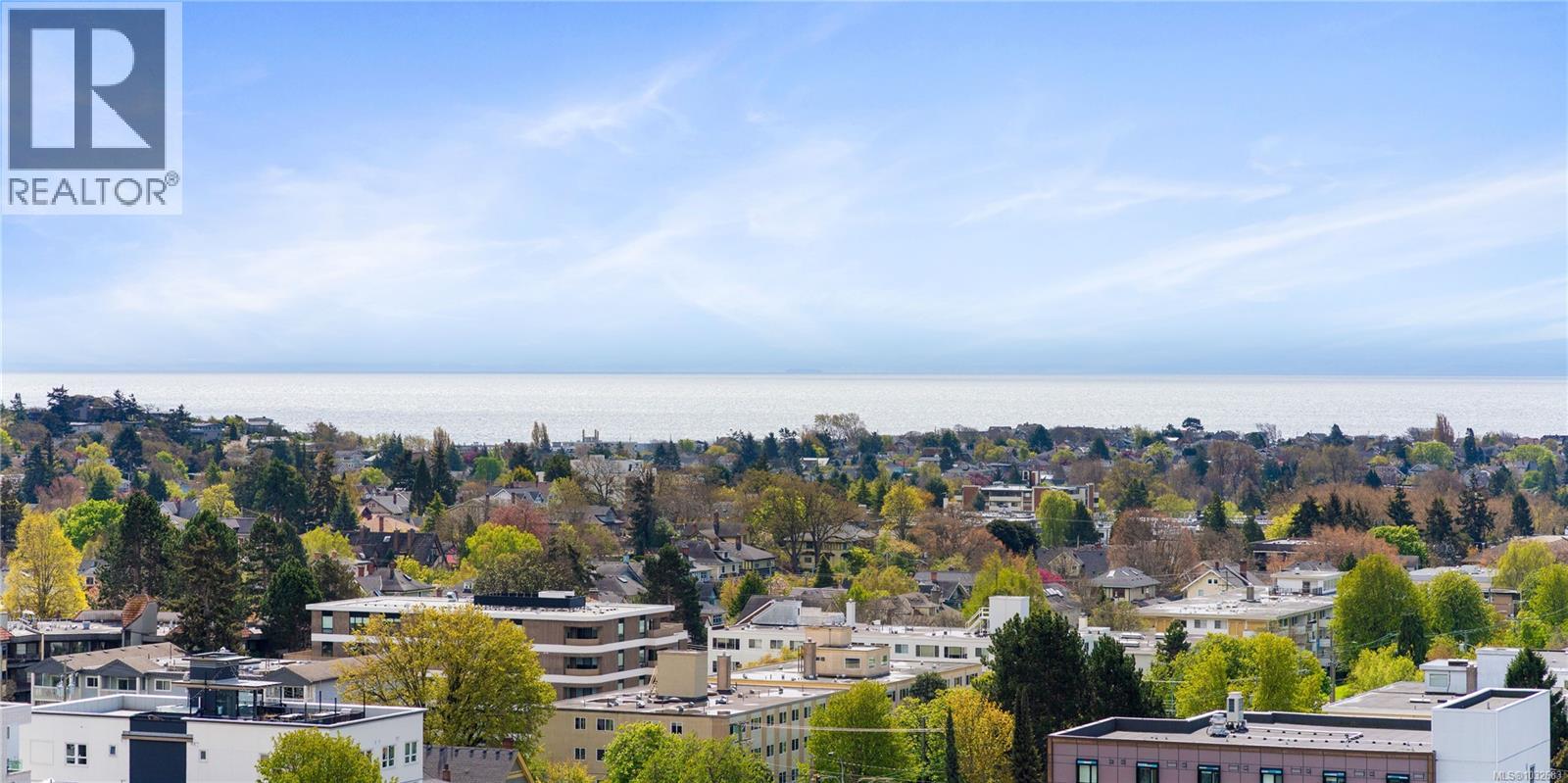 1703 1020 View St, Victoria, British Columbia  V8V 4Y4 - Photo 9 - 1032683