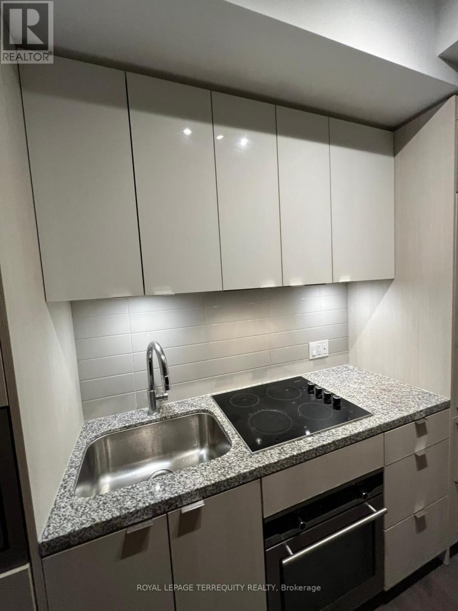 4012 - 115 Blue Jays Way, Toronto, Ontario  M5V 0N4 - Photo 6 - C13016542