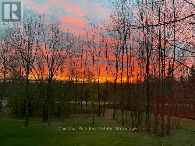 156 Harbour Beach Drive, Meaford, Ontario  N4L 1W5 - Photo 47 - X12908266