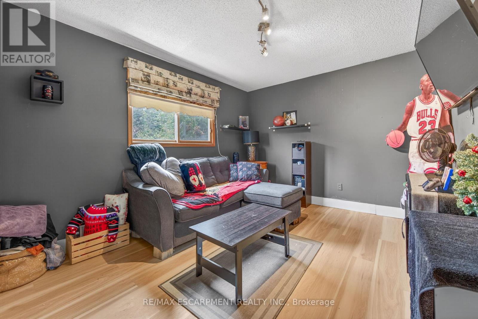 249 Lloyminn Avenue, Hamilton, Ontario  L9G 4C4 - Photo 35 - X13016630