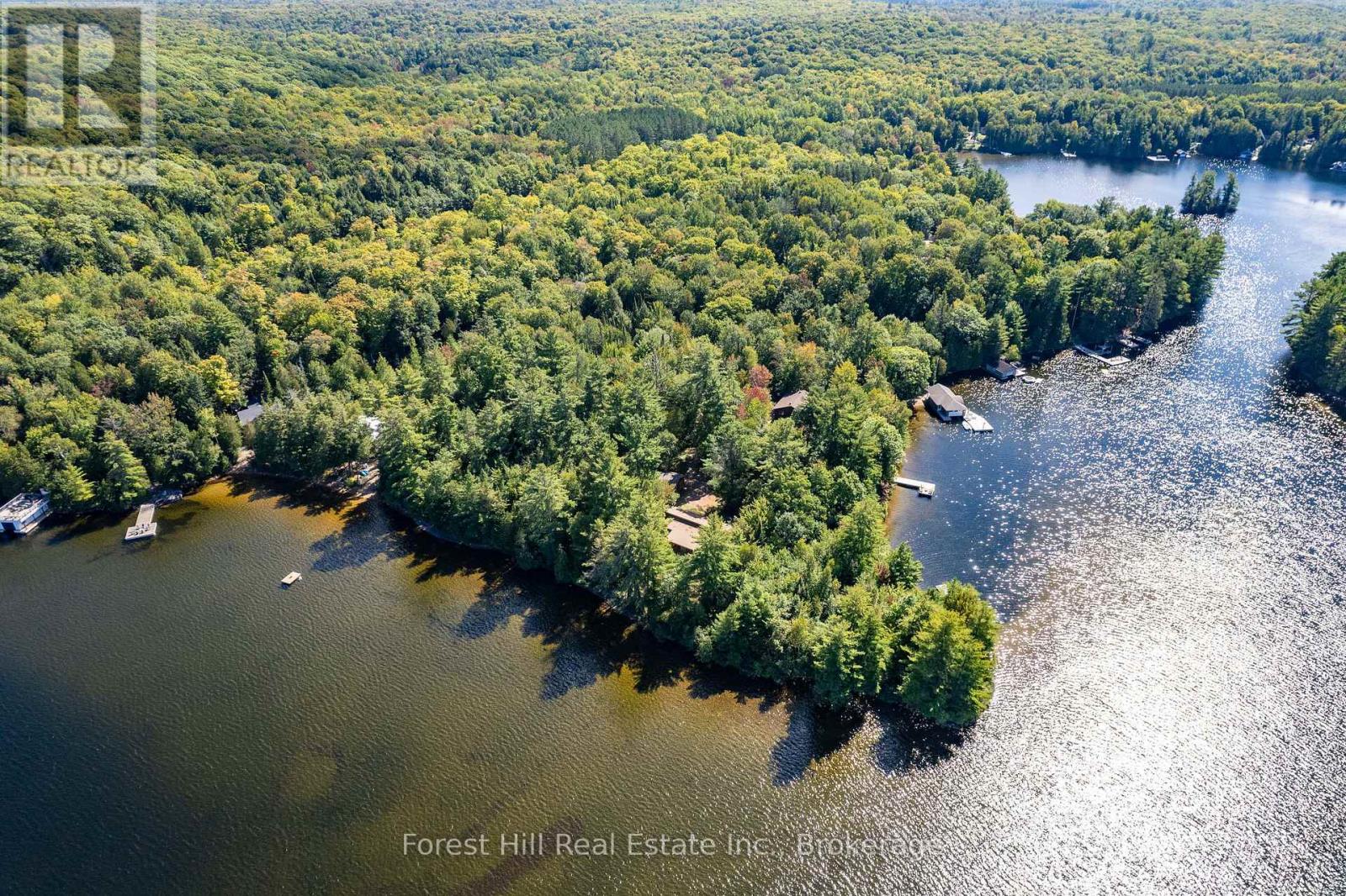 2 - 2991 Muskoka Rd 117 Road, Lake Of Bays, Ontario  P0B 1A0 - Photo 10 - X13016736