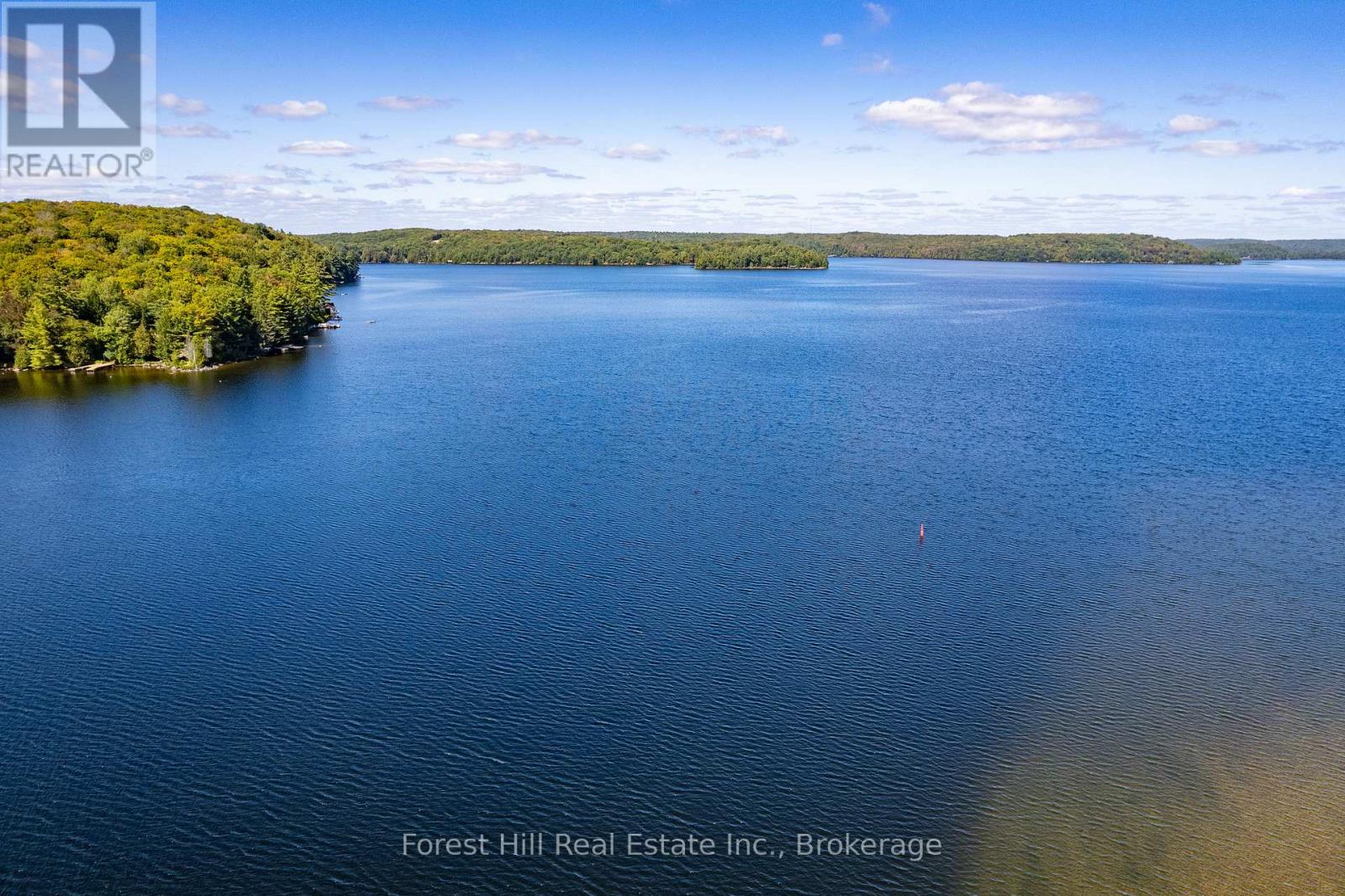 2 - 2991 Muskoka Rd 117 Road, Lake Of Bays, Ontario  P0B 1A0 - Photo 11 - X13016736