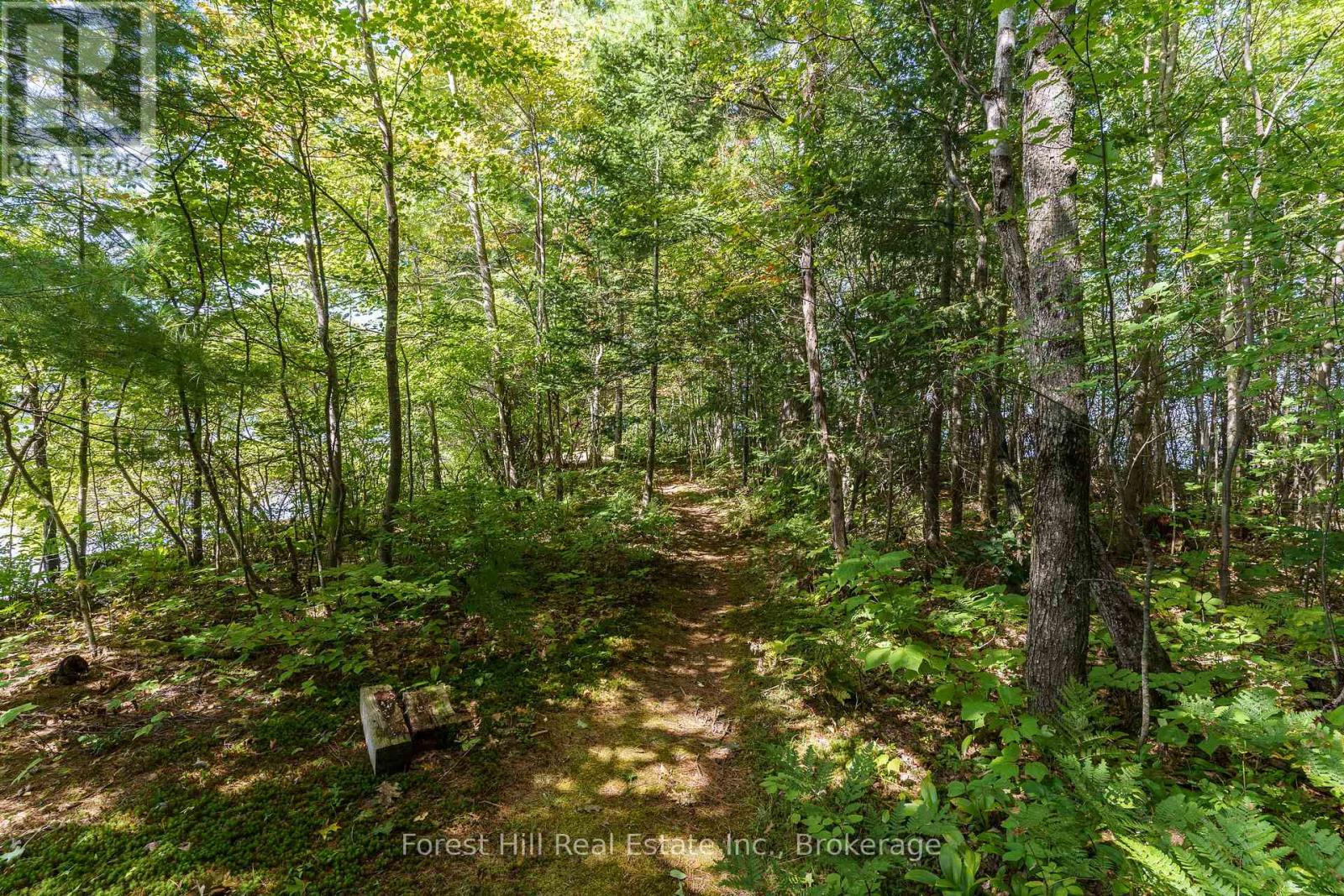 2 - 2991 Muskoka Rd 117 Road, Lake Of Bays, Ontario  P0B 1A0 - Photo 13 - X13016736