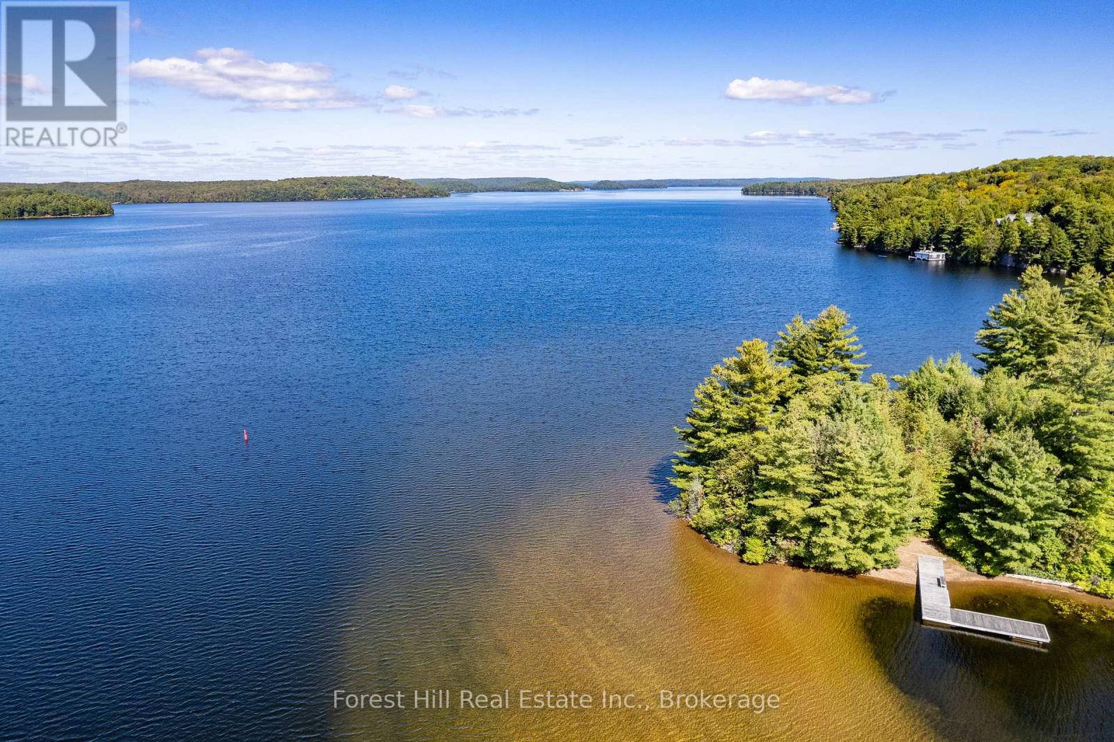 2 - 2991 Muskoka Rd 117 Road, Lake Of Bays, Ontario  P0B 1A0 - Photo 2 - X13016736