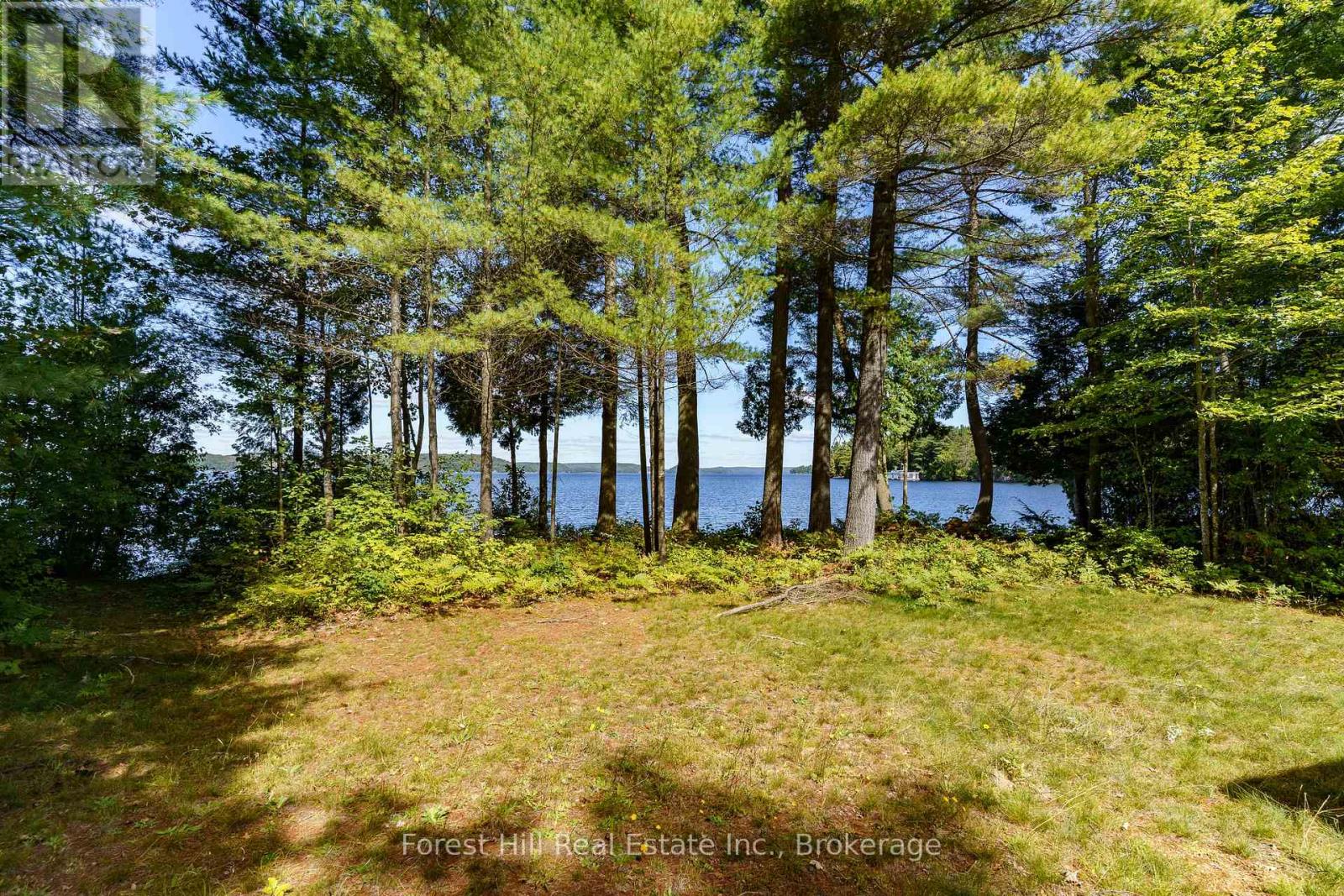 2 - 2991 Muskoka Rd 117 Road, Lake Of Bays, Ontario  P0B 1A0 - Photo 3 - X13016736