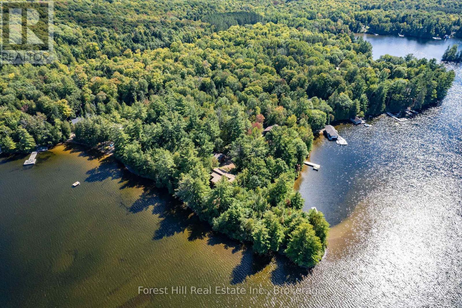 2 - 2991 Muskoka Rd 117 Road, Lake Of Bays, Ontario  P0B 1A0 - Photo 4 - X13016736