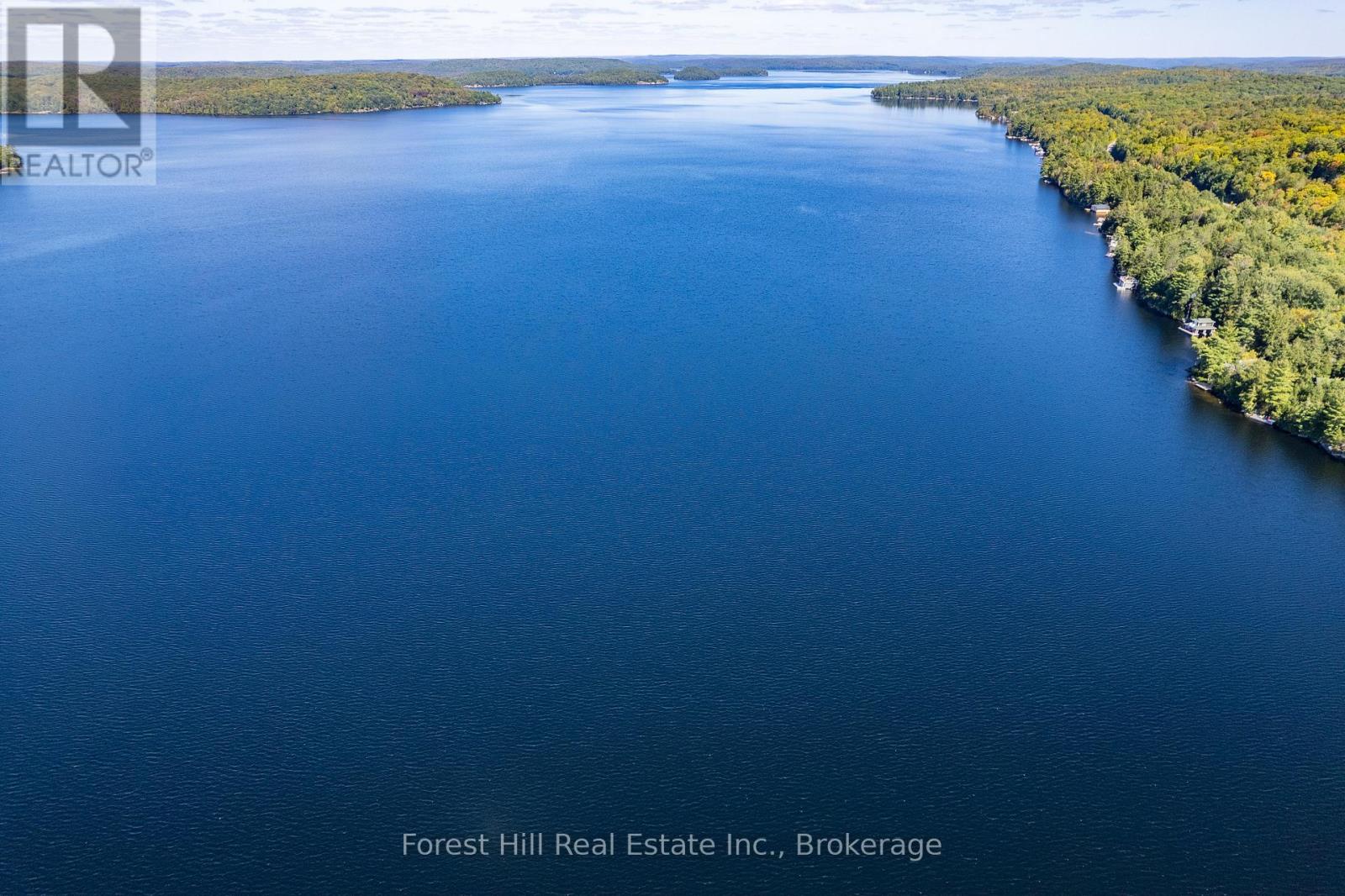 2 - 2991 Muskoka Rd 117 Road, Lake Of Bays, Ontario  P0B 1A0 - Photo 7 - X13016736