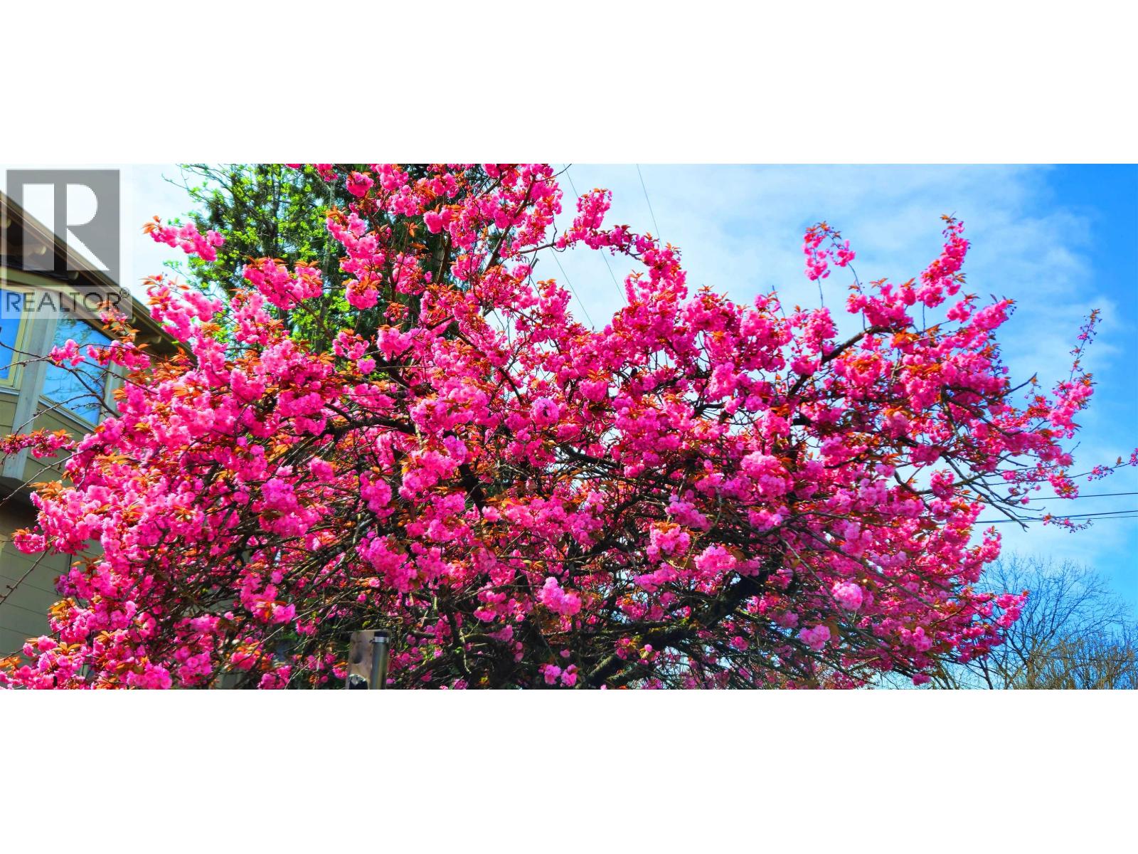 1745 Graveley Street, Vancouver, British Columbia  V5L 3A9 - Photo 32 - R3113088