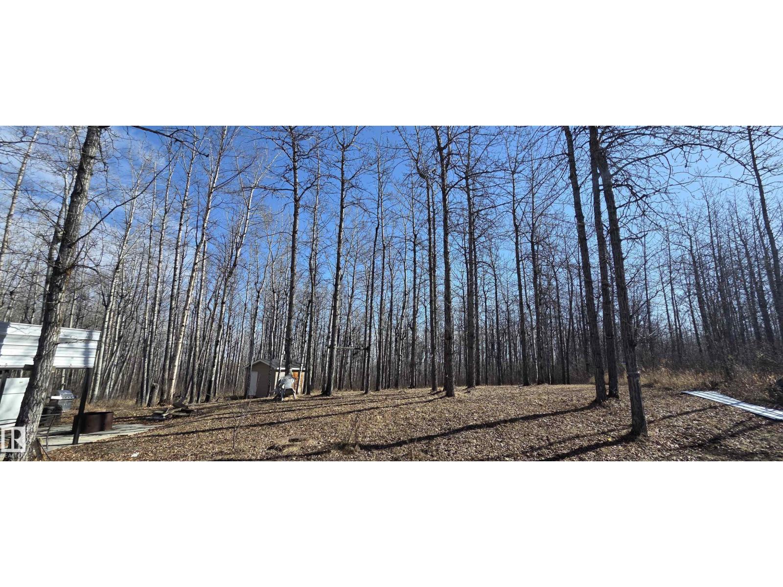 #4 13070 464 Twp Rd, Rural Wetaskiwin County, Alberta  T0C 2V0 - Photo 4 - E4483092