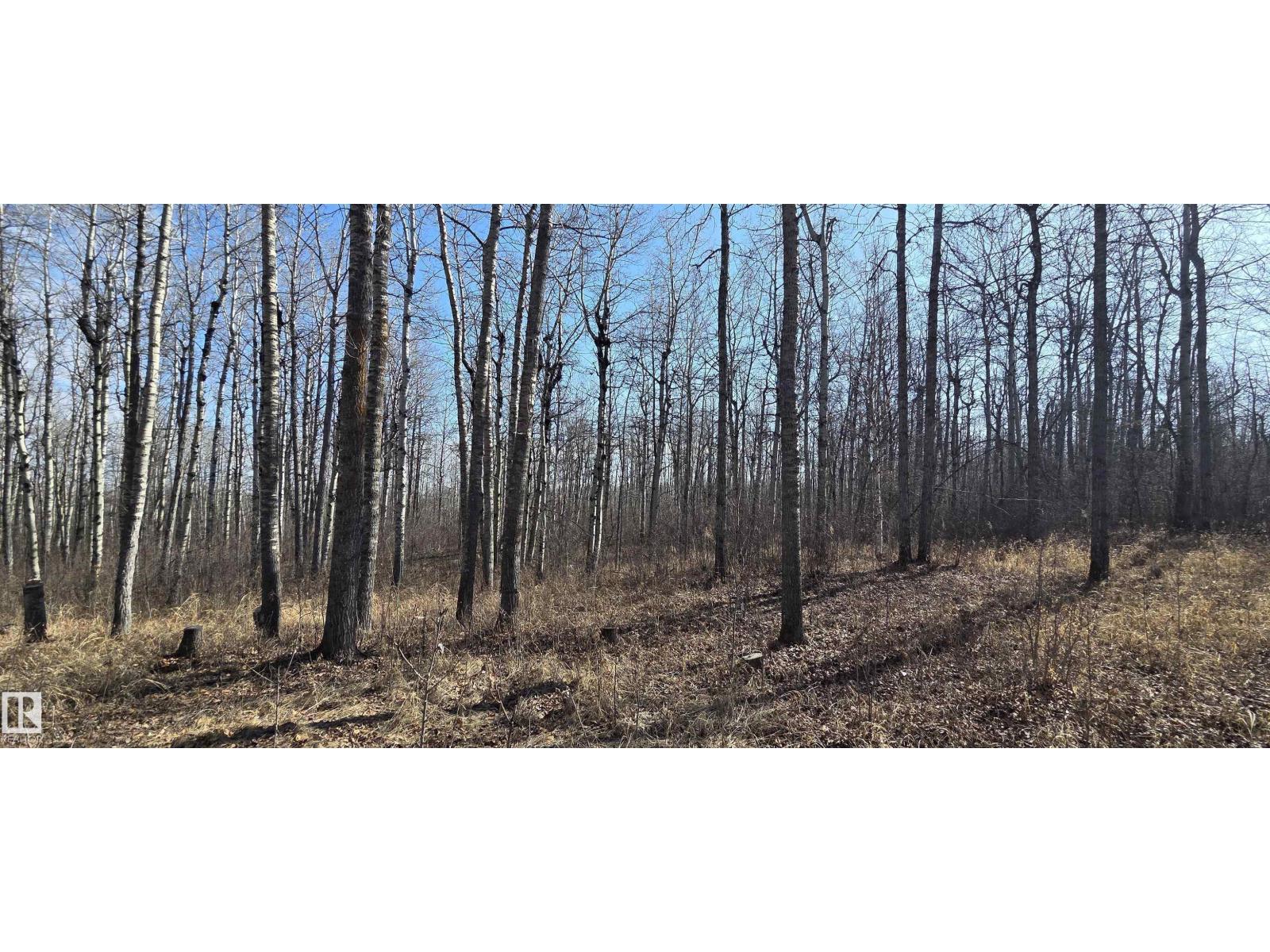 #4 13070 464 Twp Rd, Rural Wetaskiwin County, Alberta  T0C 2V0 - Photo 7 - E4483092