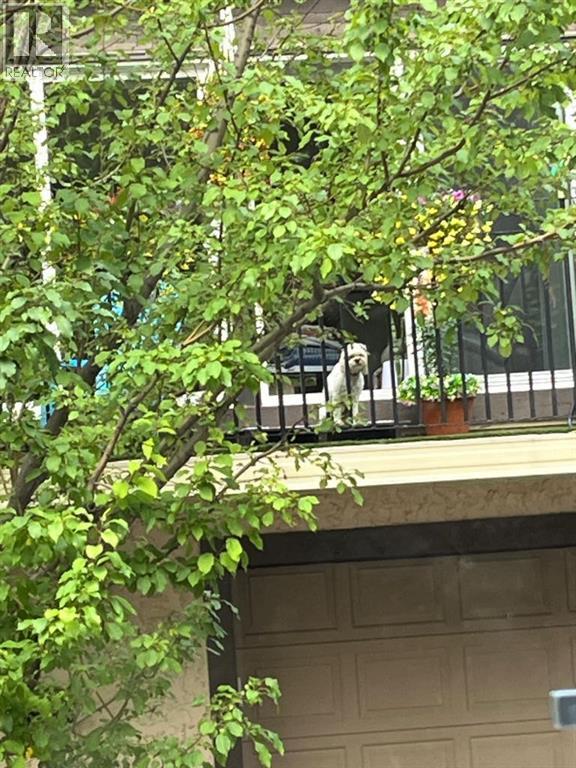 830, 3130 66 Avenue SW, Calgary, Alberta  T3E 5K8 - Photo 33 - A2286471