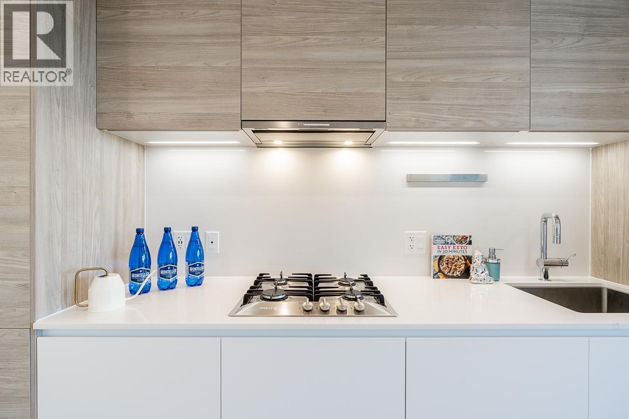 302 523 W King Edward Avenue, Vancouver, British Columbia  V5Z 0J3 - Photo 6 - R3109943