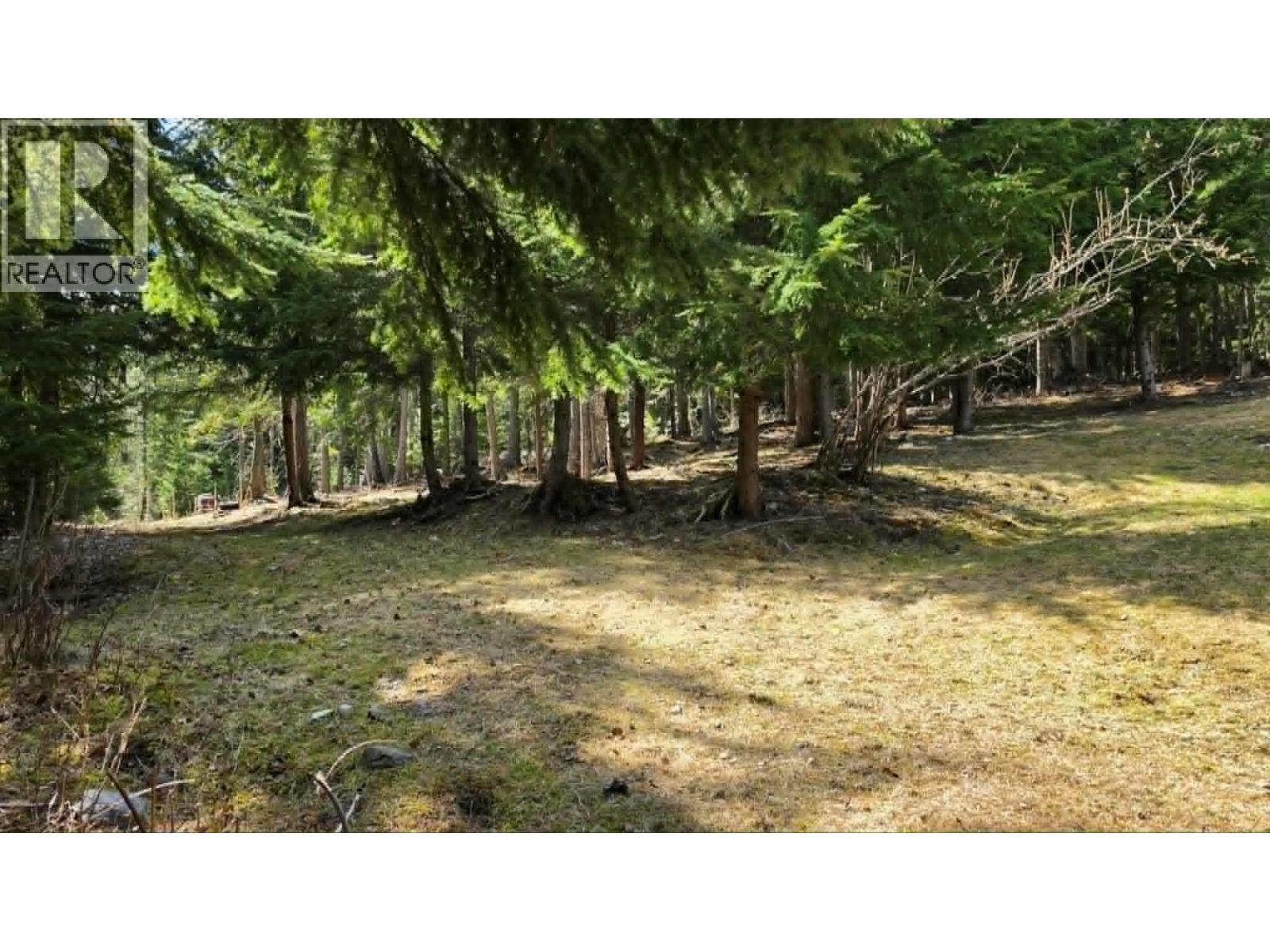 829 Bobbie Burns Road, Lumby, British Columbia  V0E 2G4 - Photo 40 - 10383919