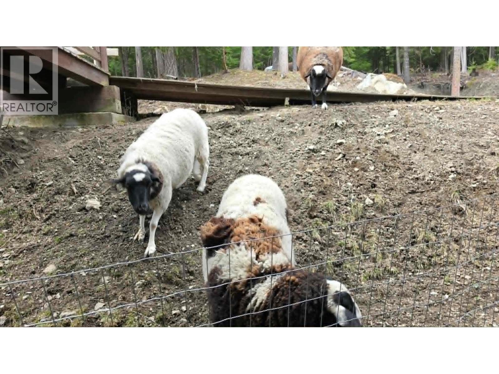 829 Bobbie Burns Road, Lumby, British Columbia  V0E 2G4 - Photo 41 - 10383919