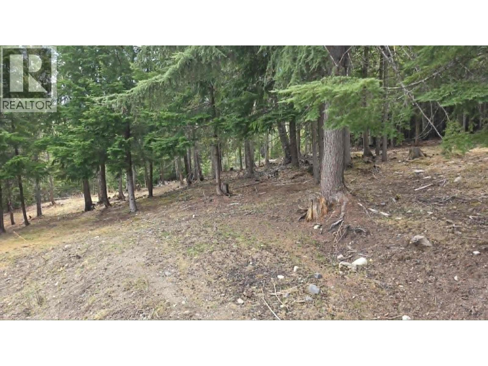 829 Bobbie Burns Road, Lumby, British Columbia  V0E 2G4 - Photo 28 - 10383919