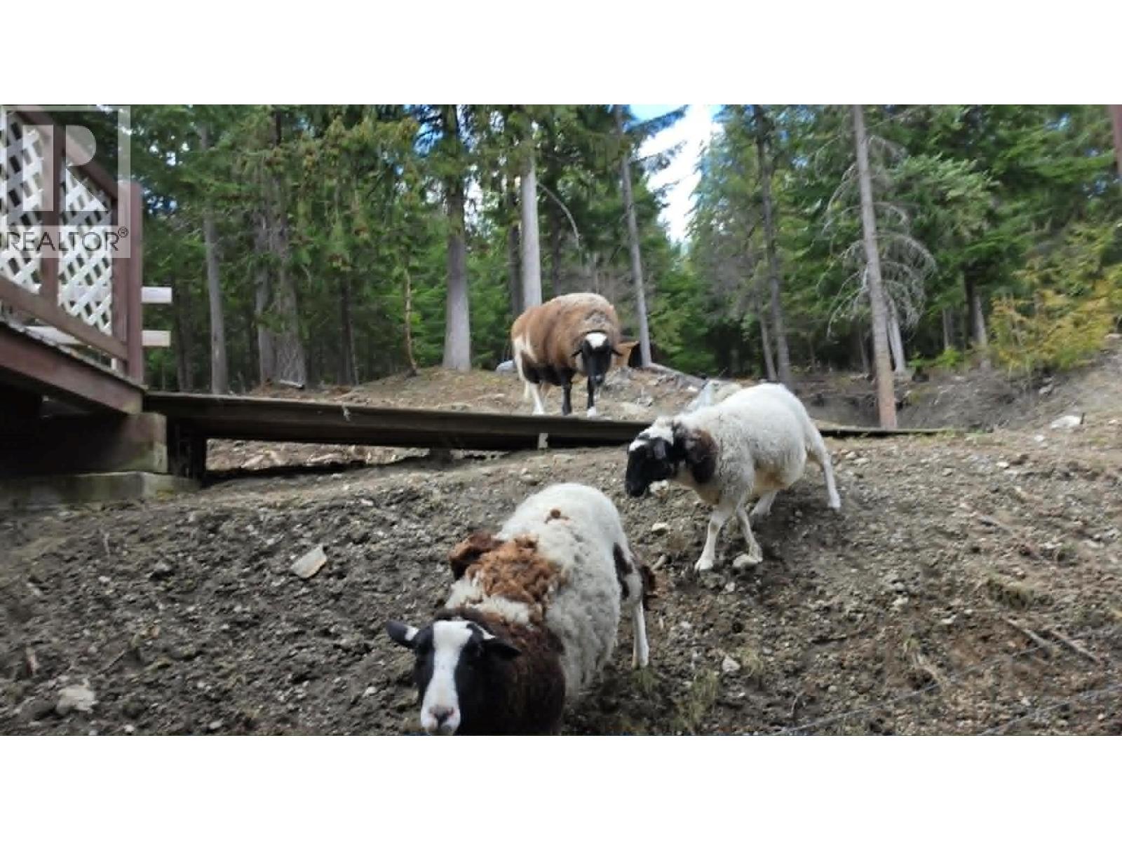 829 Bobbie Burns Road, Lumby, British Columbia  V0E 2G4 - Photo 39 - 10383919