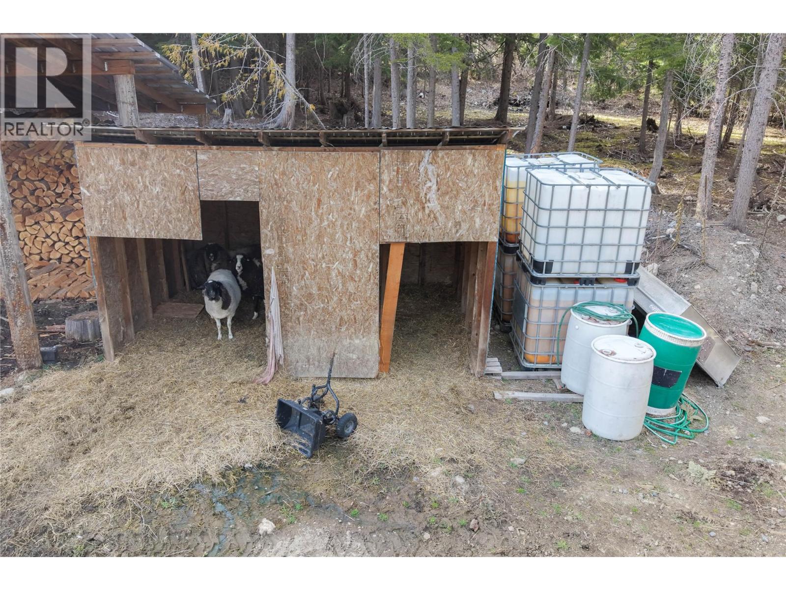 829 Bobbie Burns Road, Lumby, British Columbia  V0E 2G4 - Photo 58 - 10383919