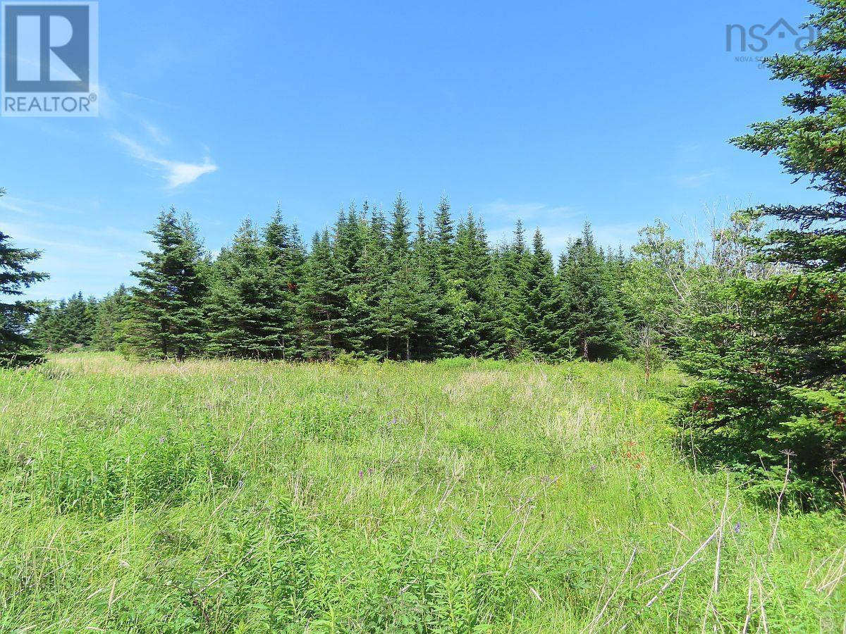 Lot 4 Highway 4, Soldiers Cove, Nova Scotia  B0E 3B0 - Photo 12 - 202403879