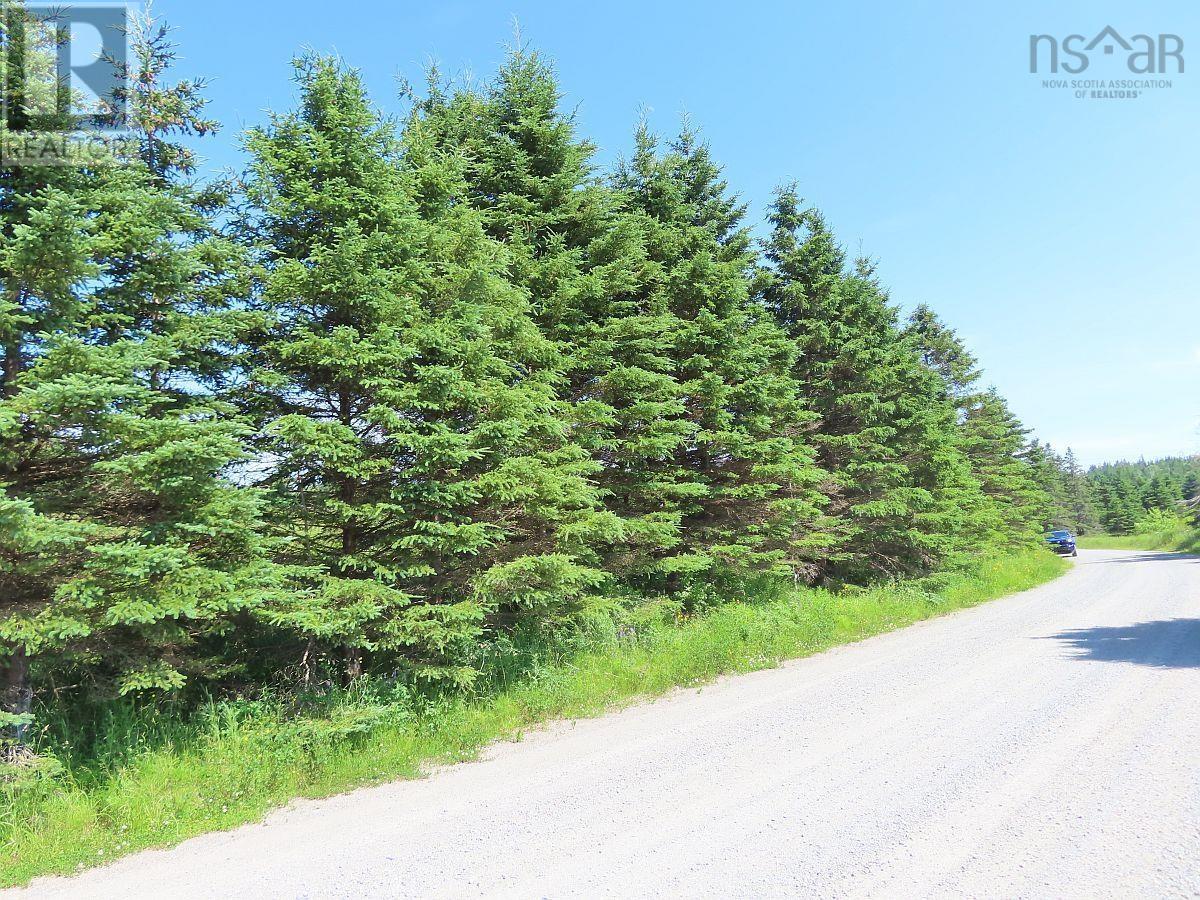 Lot 4 Highway 4, Soldiers Cove, Nova Scotia  B0E 3B0 - Photo 16 - 202403879