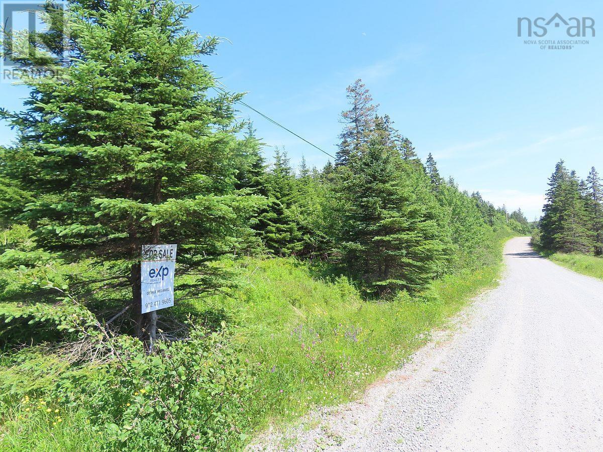 Lot 4 Highway 4, Soldiers Cove, Nova Scotia  B0E 3B0 - Photo 17 - 202403879