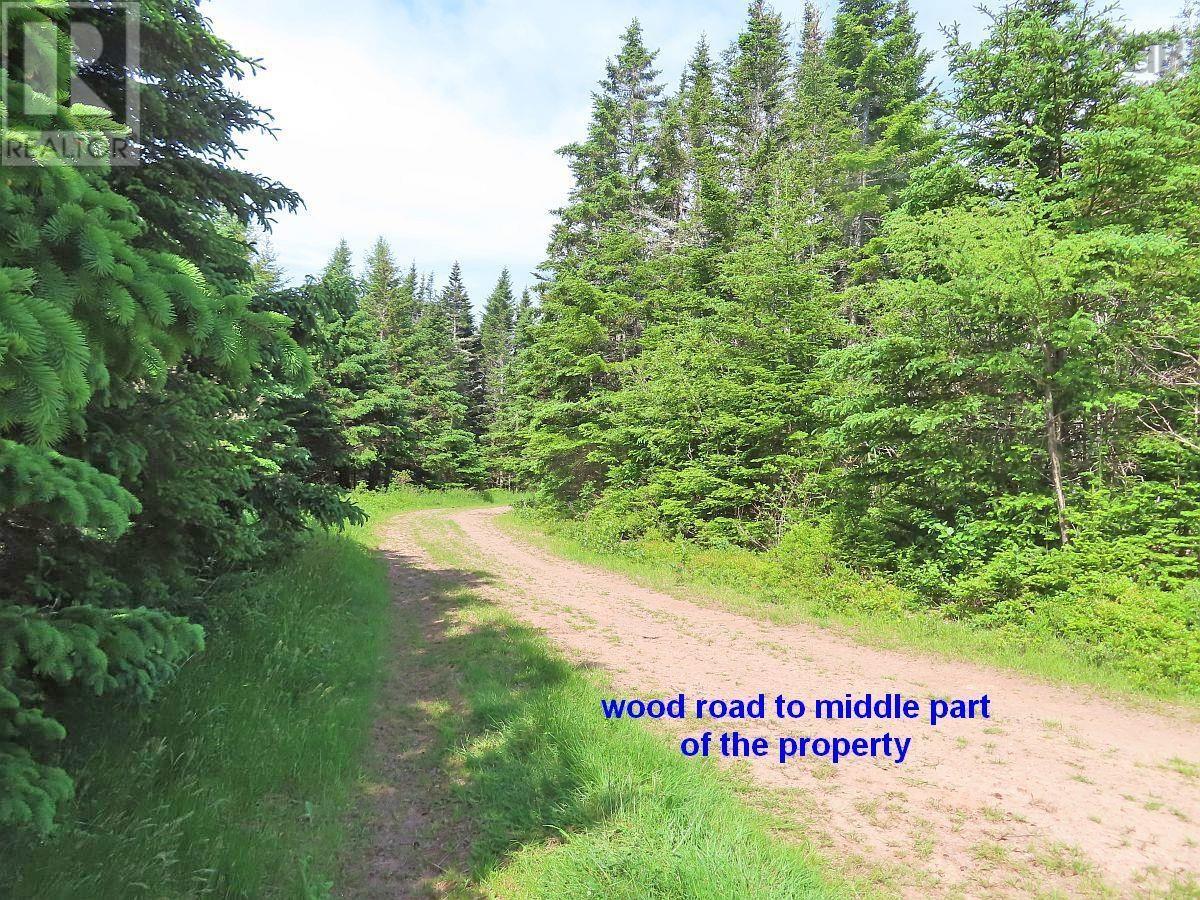 Lot 4 Highway 4, Soldiers Cove, Nova Scotia  B0E 3B0 - Photo 41 - 202403879