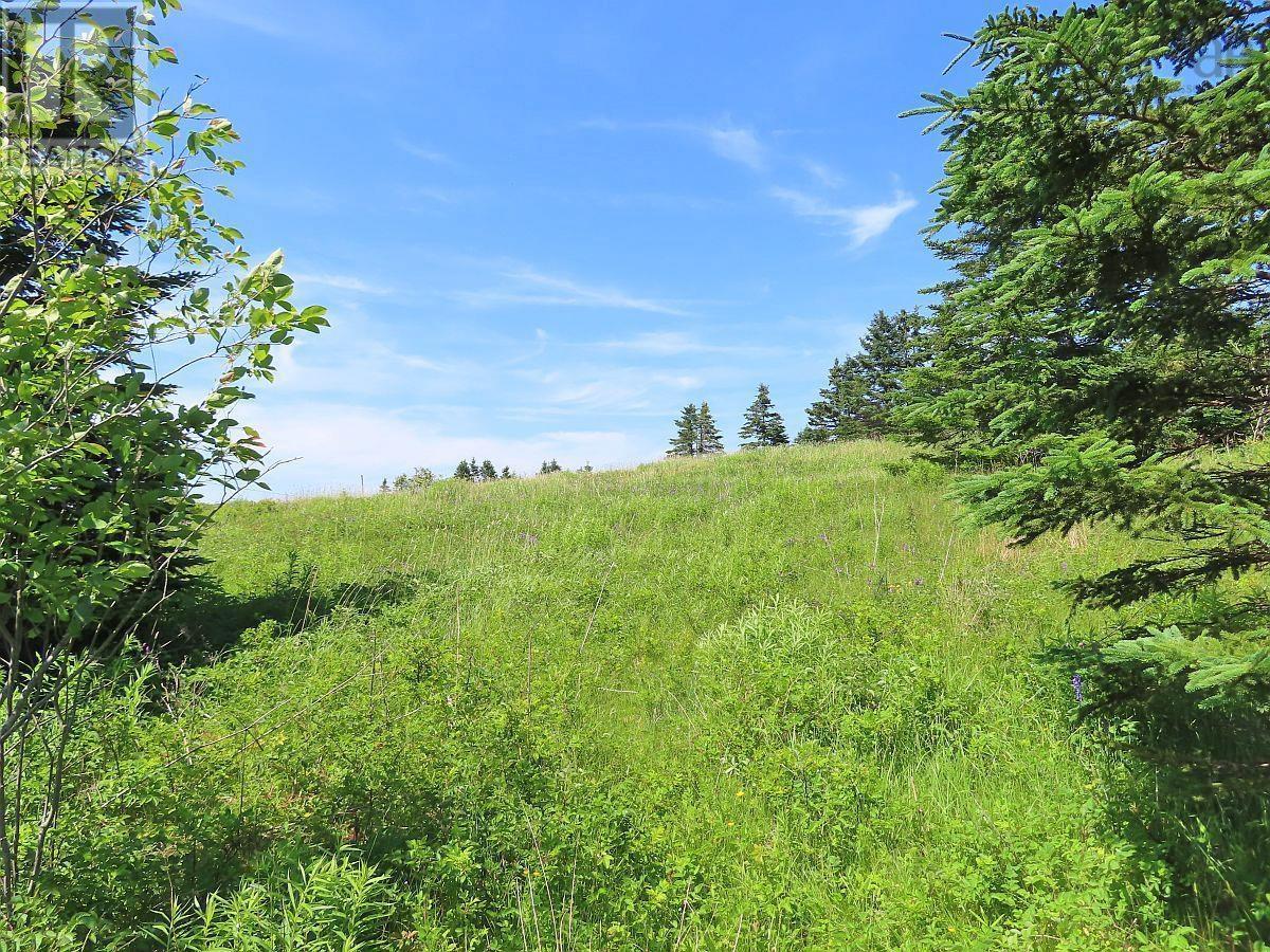 Lot 4 Highway 4, Soldiers Cove, Nova Scotia  B0E 3B0 - Photo 9 - 202403879