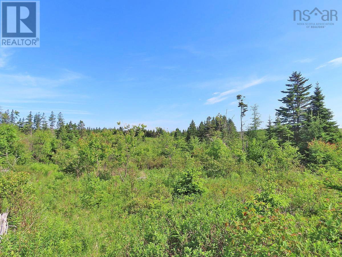 Lot 2 Old Trunk 4 Highway, Soldiers Cove, Nova Scotia  B0E 3B0 - Photo 2 - 202415357