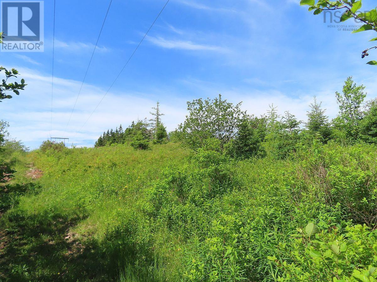Lot 2 Old Trunk 4 Highway, Soldiers Cove, Nova Scotia