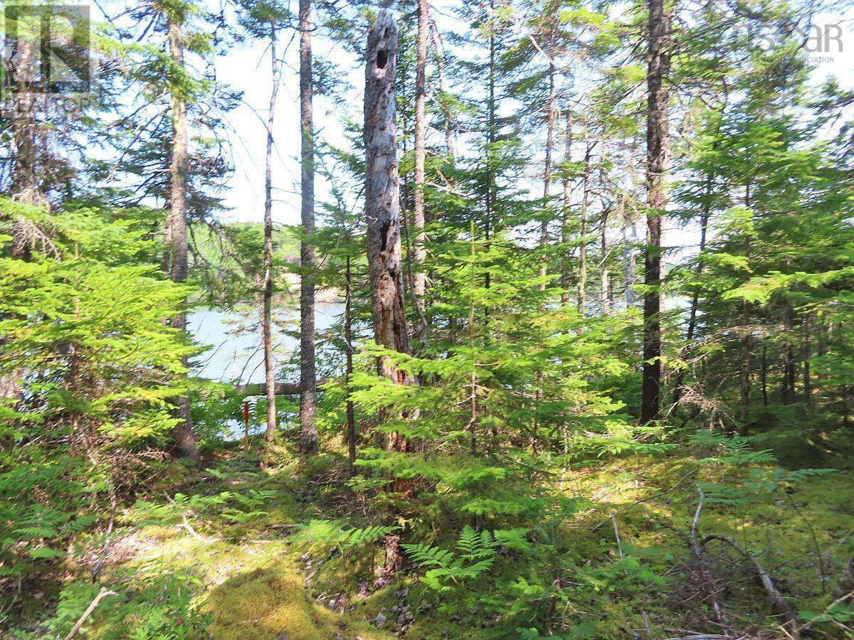 Lot 2 Lower River Road, Hureauville, Nova Scotia  B0E 1J0 - Photo 13 - 202423664