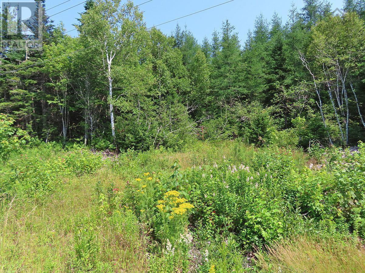 Lot 2 Lower River Road, Hureauville, Nova Scotia  B0E 1J0 - Photo 17 - 202423664