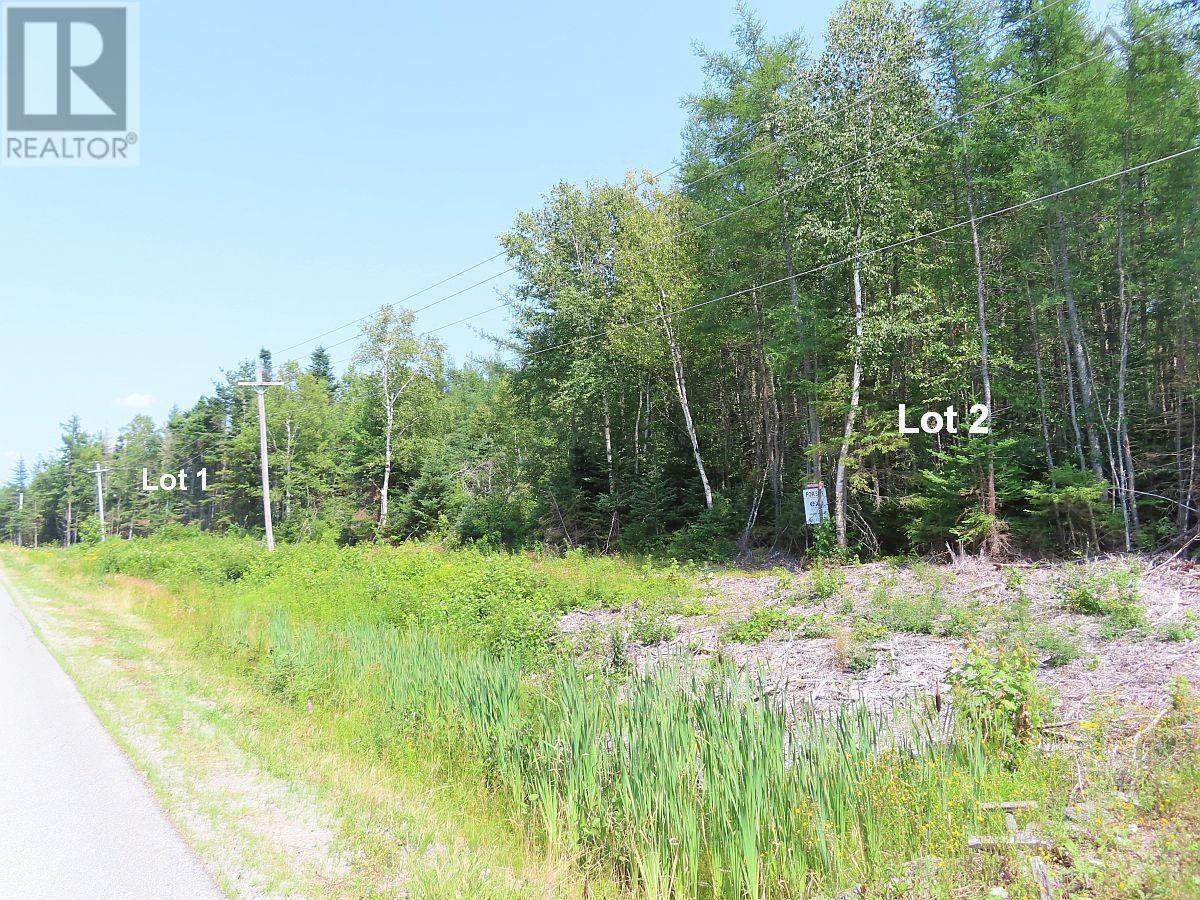 Lot 2 Lower River Road, Hureauville, Nova Scotia  B0E 1J0 - Photo 21 - 202423664