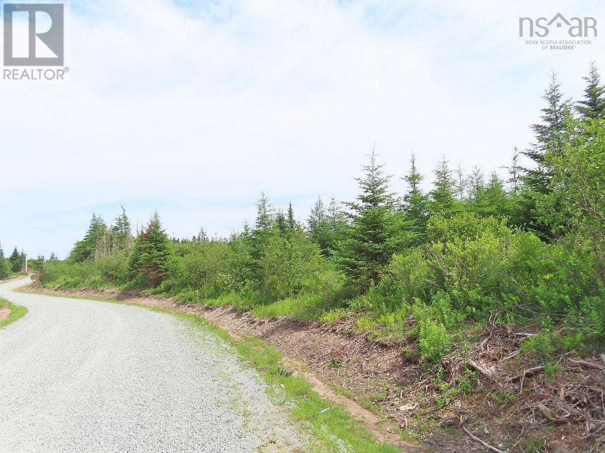 Lot 3 Rear Big Cove Road, Soldiers Cove, Nova Scotia  B0E 3B0 - Photo 42 - 202517506