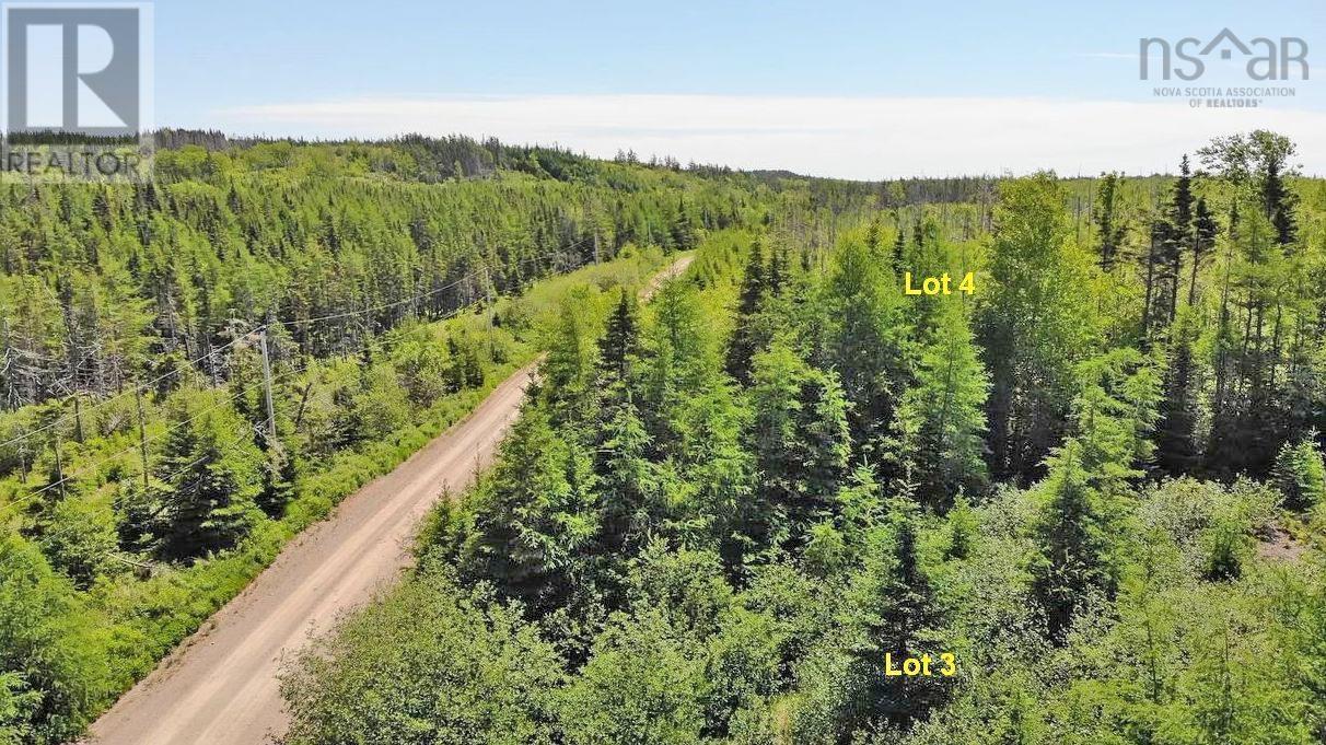 Lot 3 Rear Big Cove Road, Soldiers Cove, Nova Scotia  B0E 3B0 - Photo 6 - 202517506