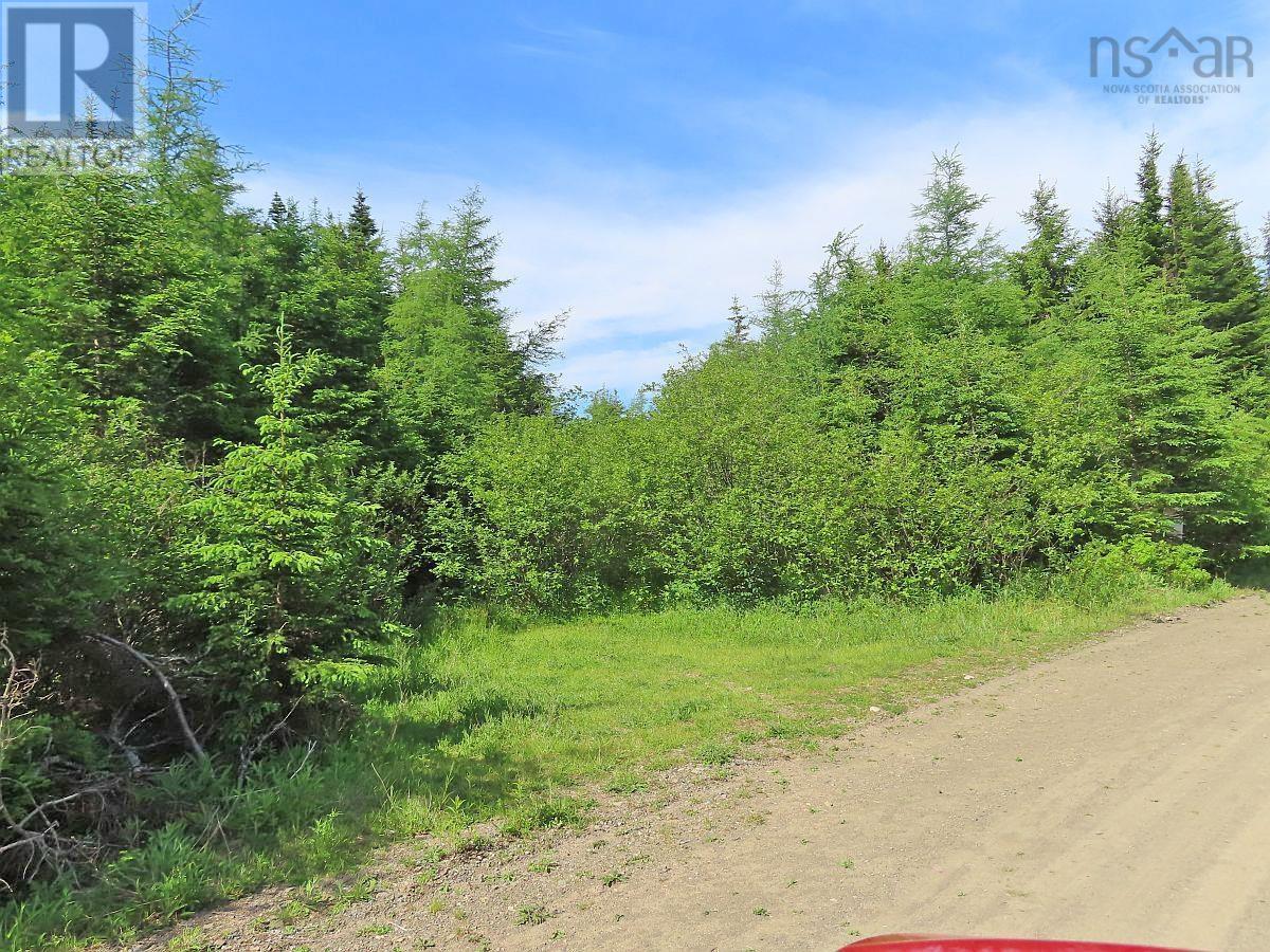 Lot 3 Rear Big Cove Road, Soldiers Cove, Nova Scotia  B0E 3B0 - Photo 4 - 202517506