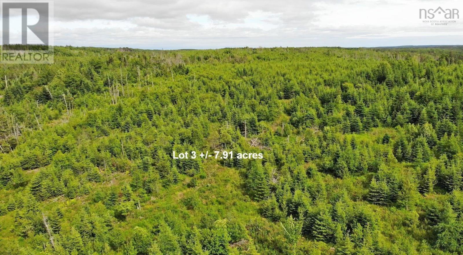 Lot 3 Rear Big Cove Road, Soldiers Cove, Nova Scotia  B0E 3B0 - Photo 19 - 202517506