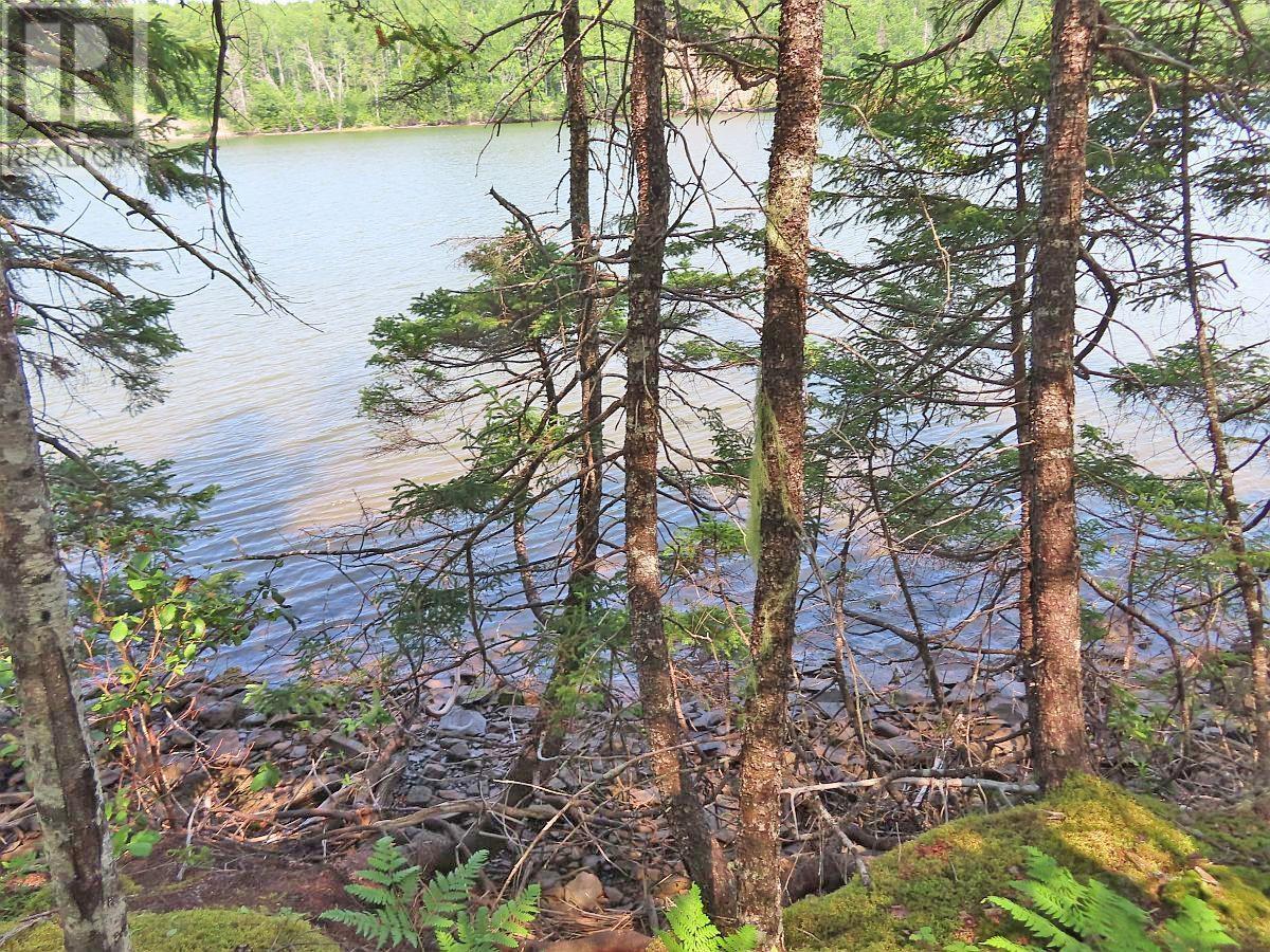 Lot 2 Lower River Road, Hureauville, Nova Scotia  B0E 1J0 - Photo 8 - 202423664