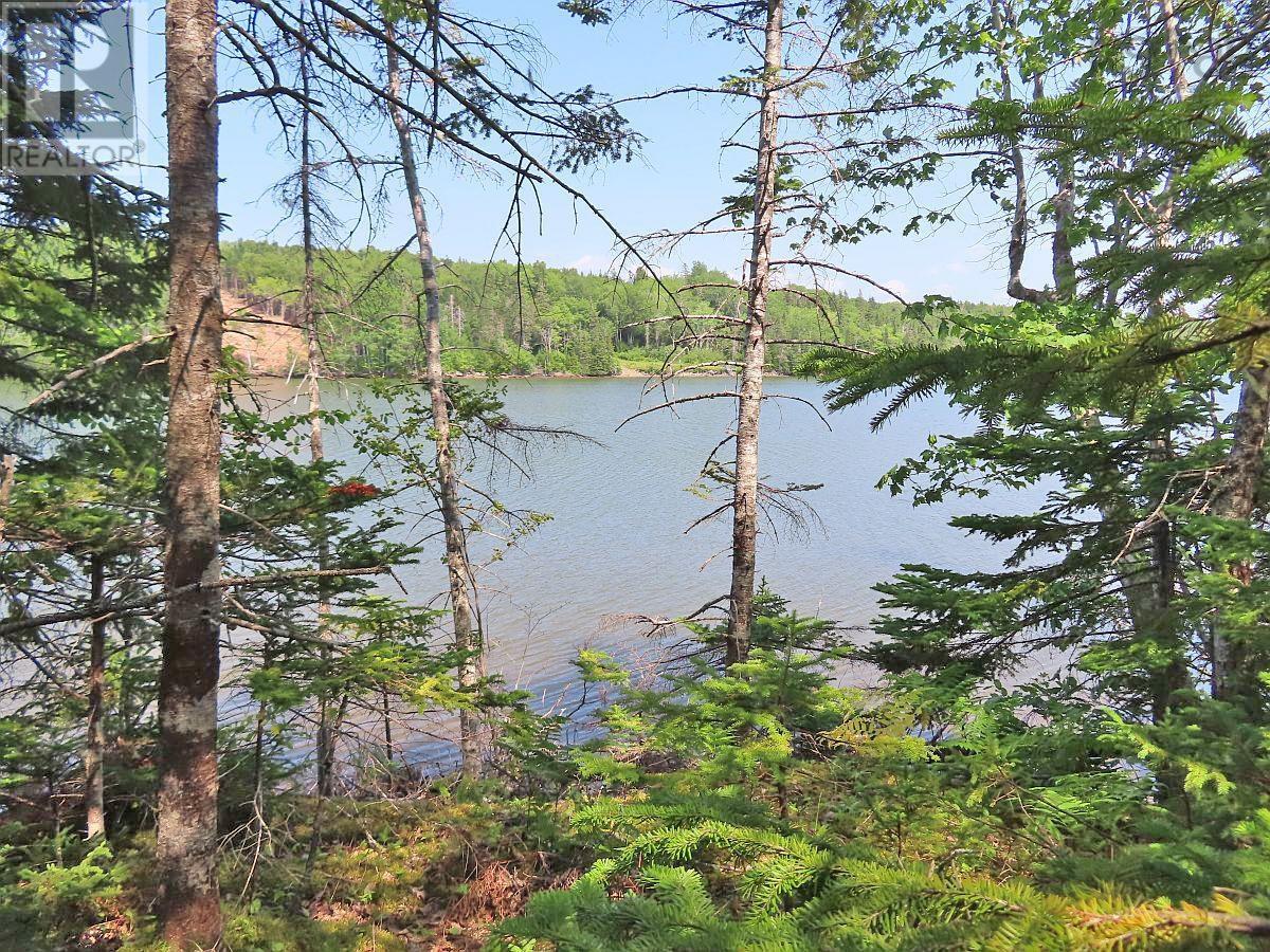 Lot 2 Lower River Road, Hureauville, Nova Scotia  B0E 1J0 - Photo 9 - 202423664