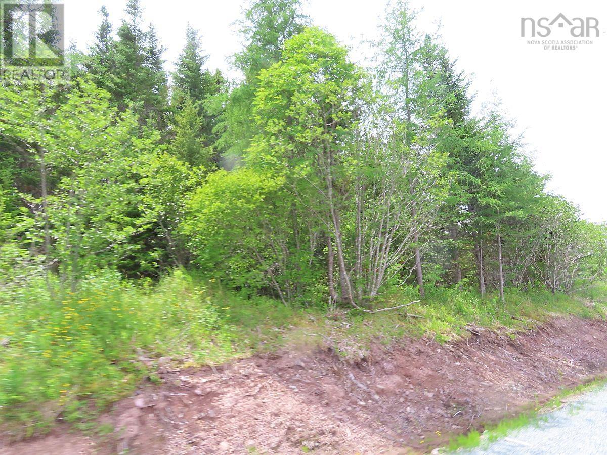Lot 3 Rear Big Cove Road, Soldiers Cove, Nova Scotia  B0E 3B0 - Photo 9 - 202517506