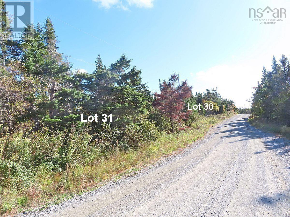 Lot 31 Belfry Lake Road, Gabarus Lake, Nova Scotia  B1K 2E8 - Photo 11 - 202529486