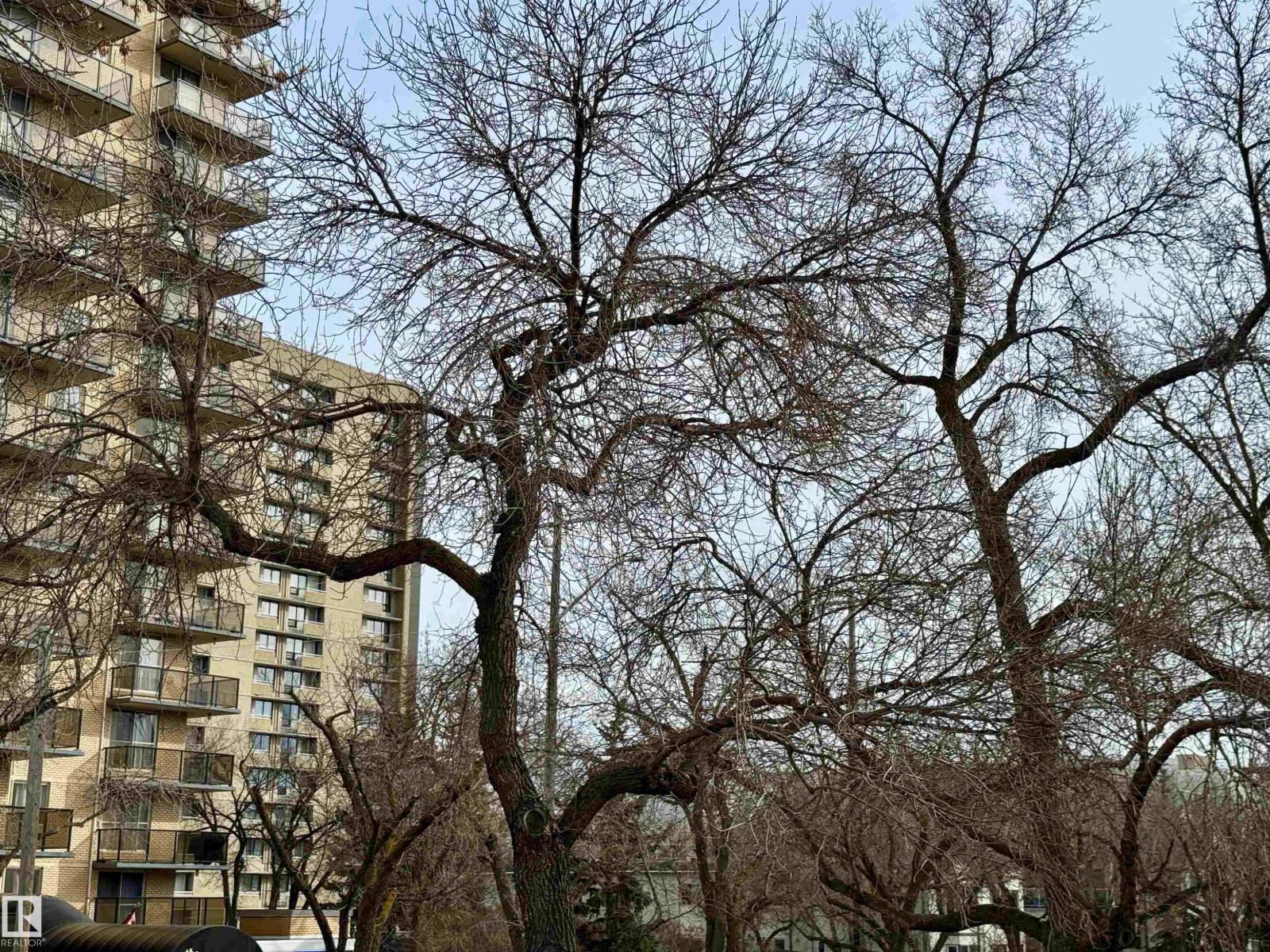 10346a 121 St Nw, Edmonton, Alberta  T5N 1P2 - Photo 33 - E4483095